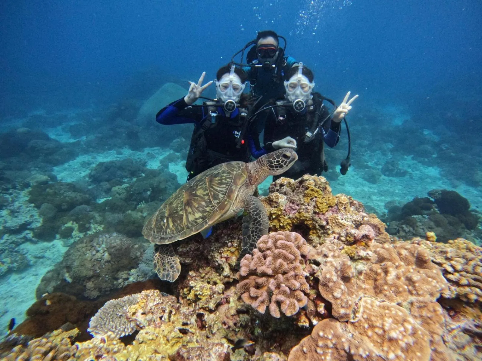 Good Viewing Spot B&B