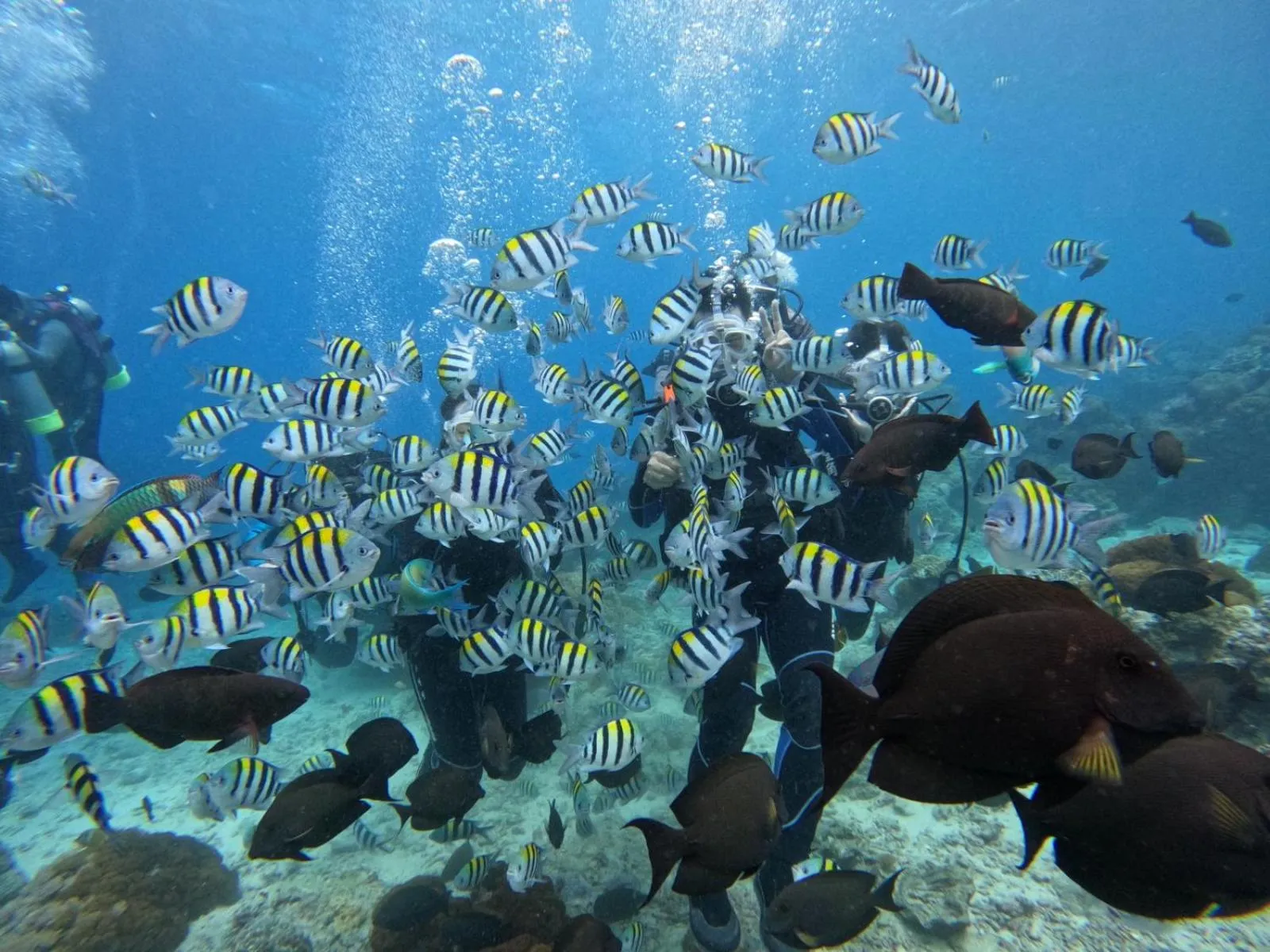 Good Viewing Spot B&B