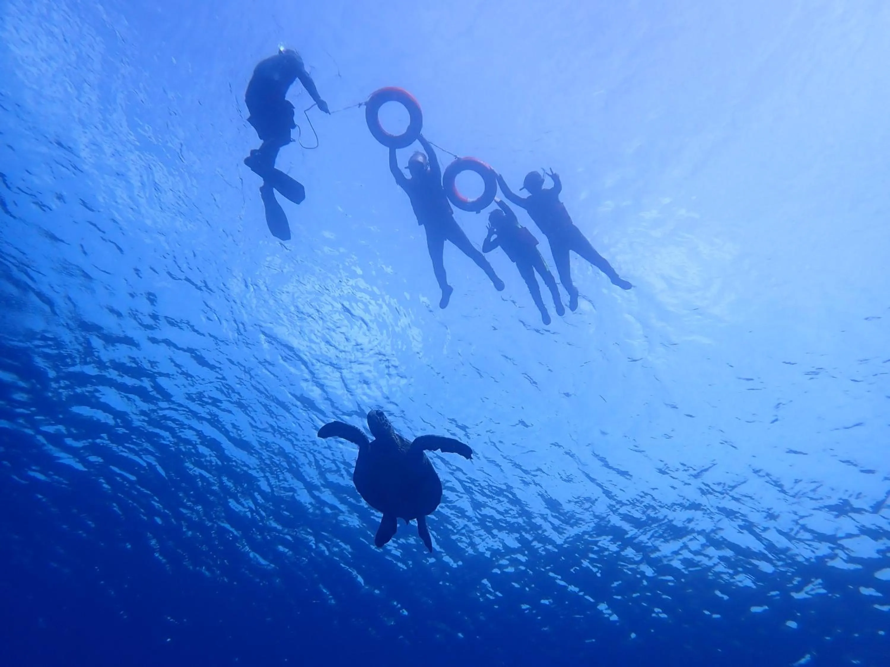 Good Viewing Spot B&B