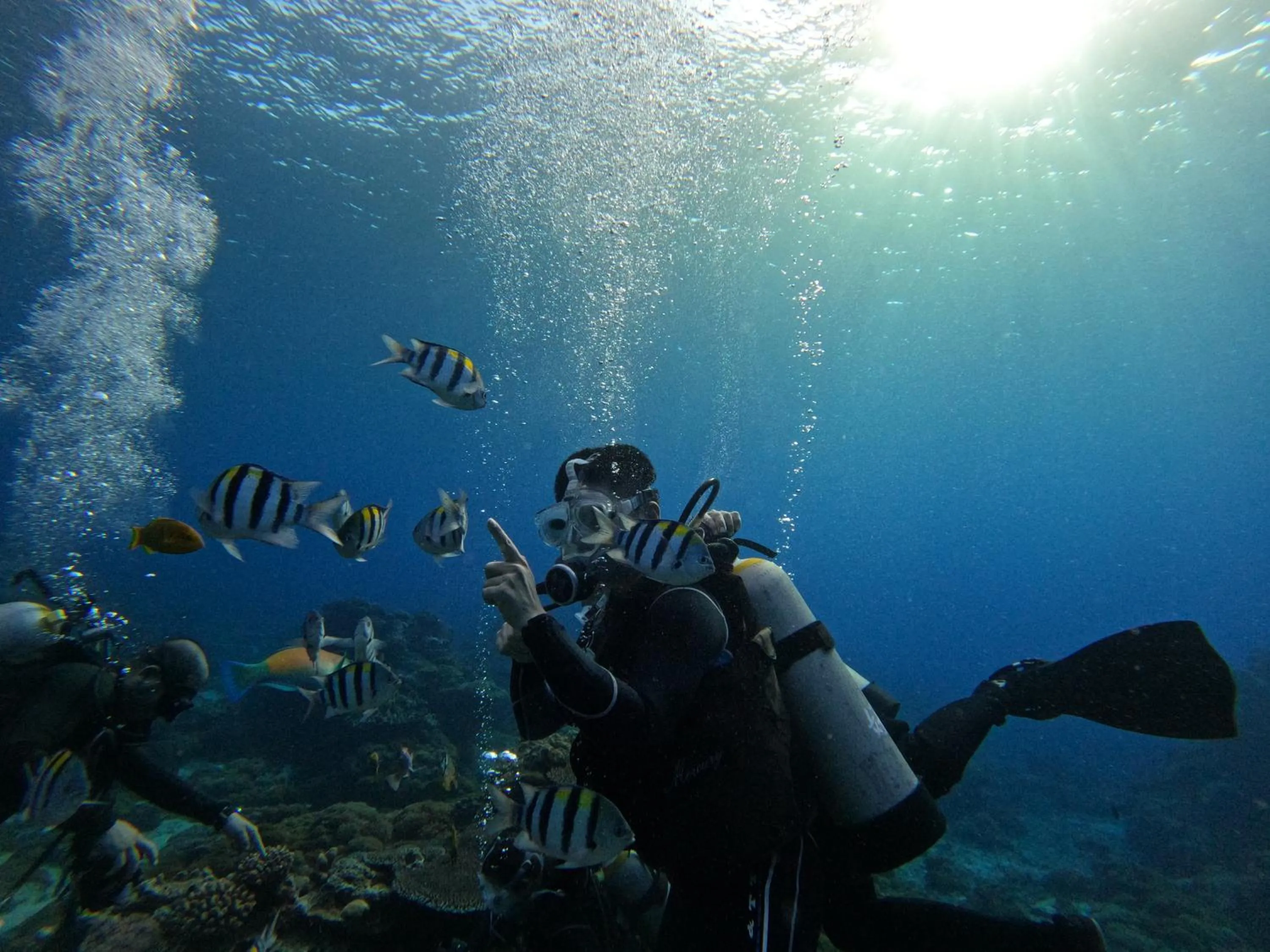 Good Viewing Spot B&B