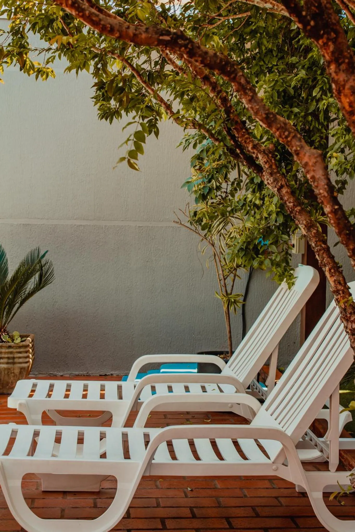 Swimming pool in Pousada Nanai