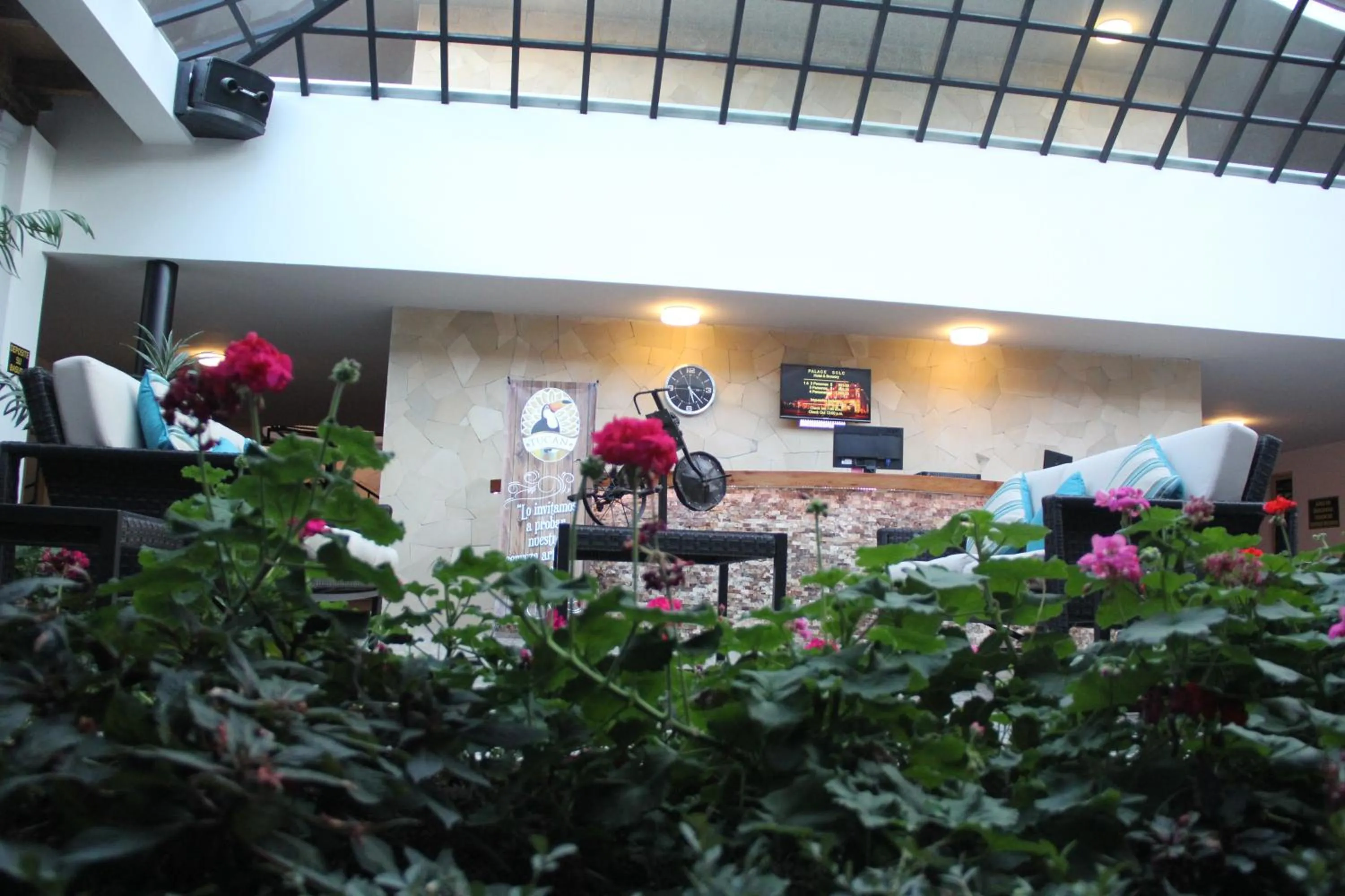 Garden view in Hotel Palace Inn SCLC