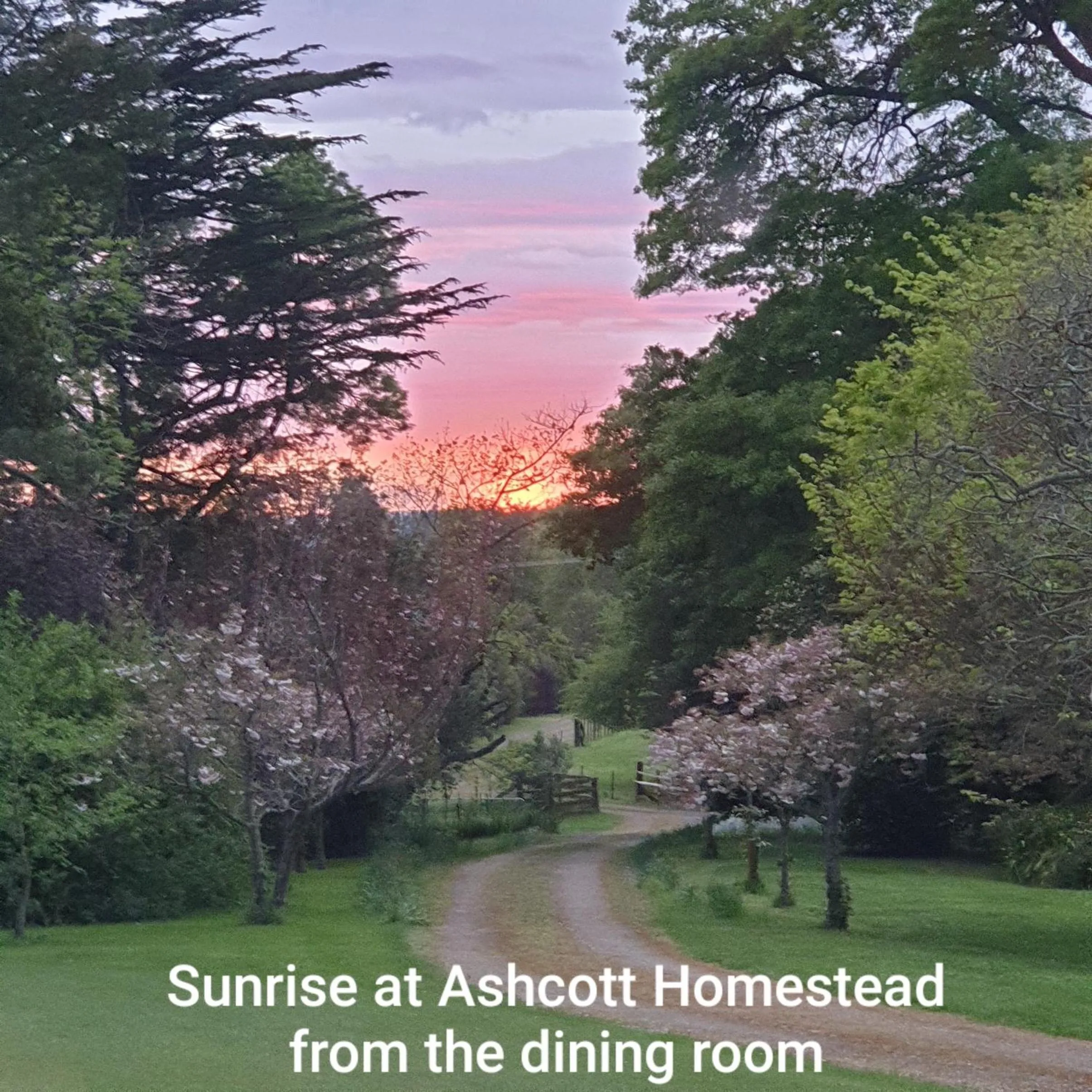 Spring in Ashcott Homestead Bed & Breakfast