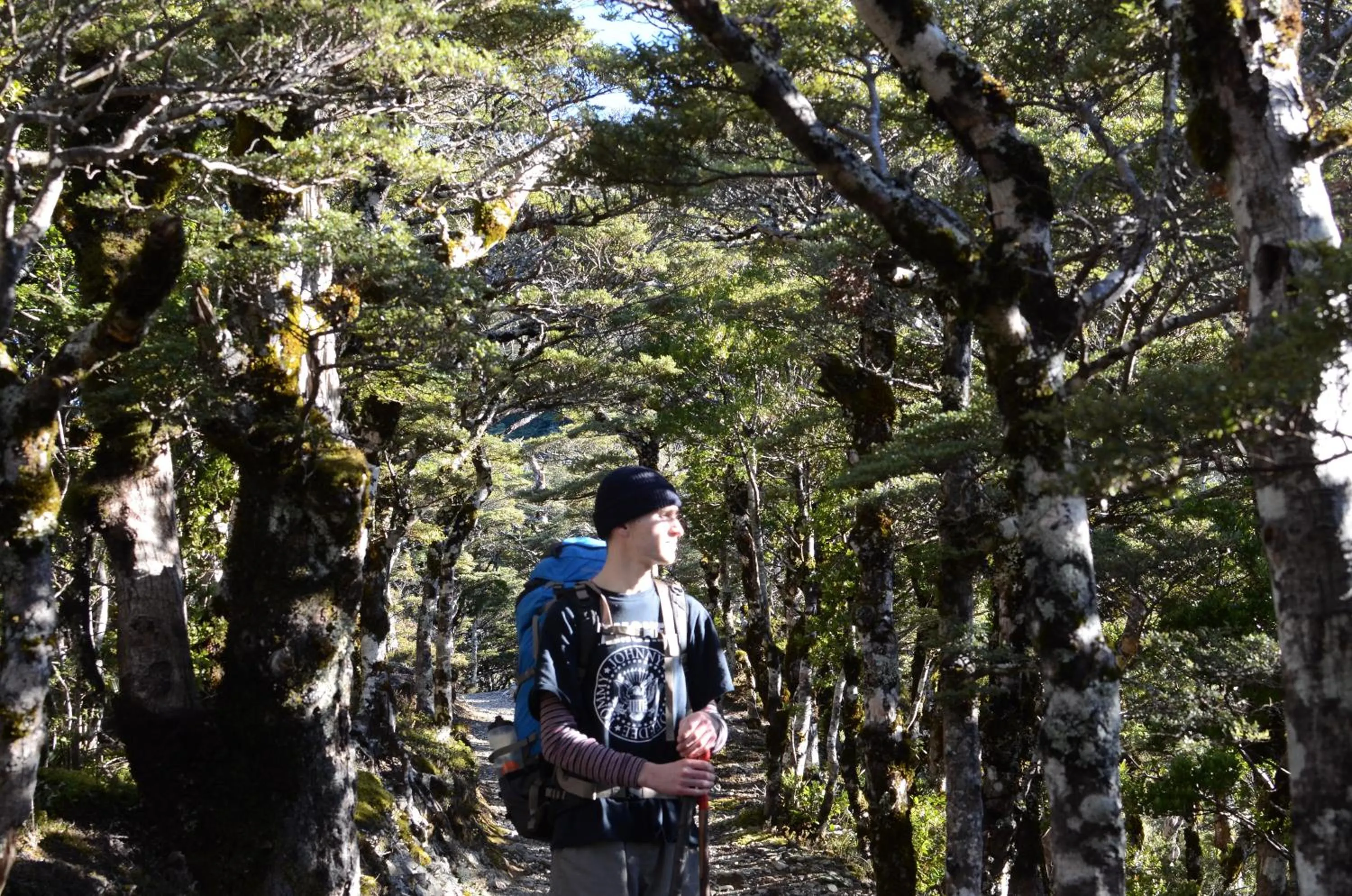 Hiking in Ashcott Homestead Bed & Breakfast