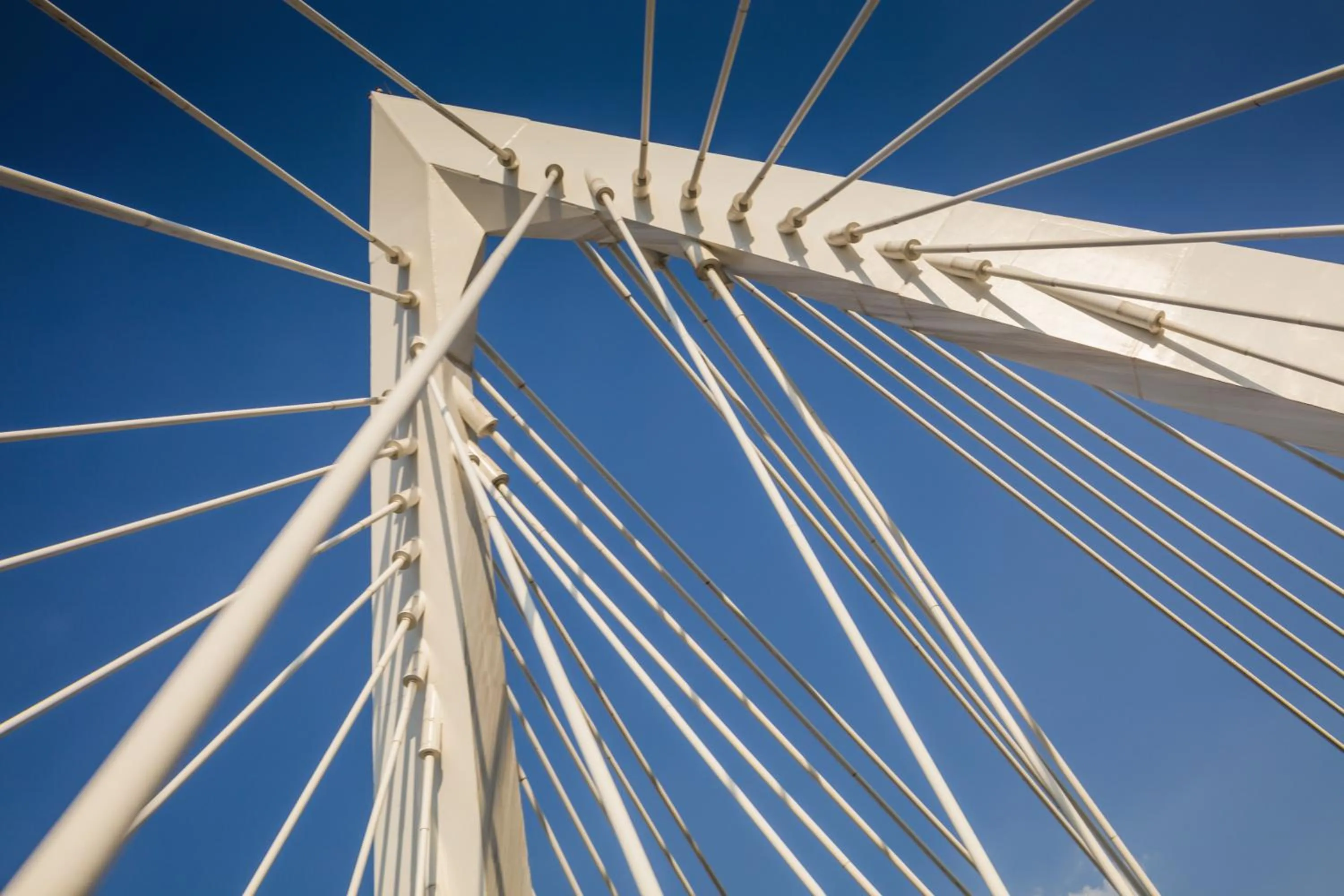 Decorative detail in One Guadalajara Expo