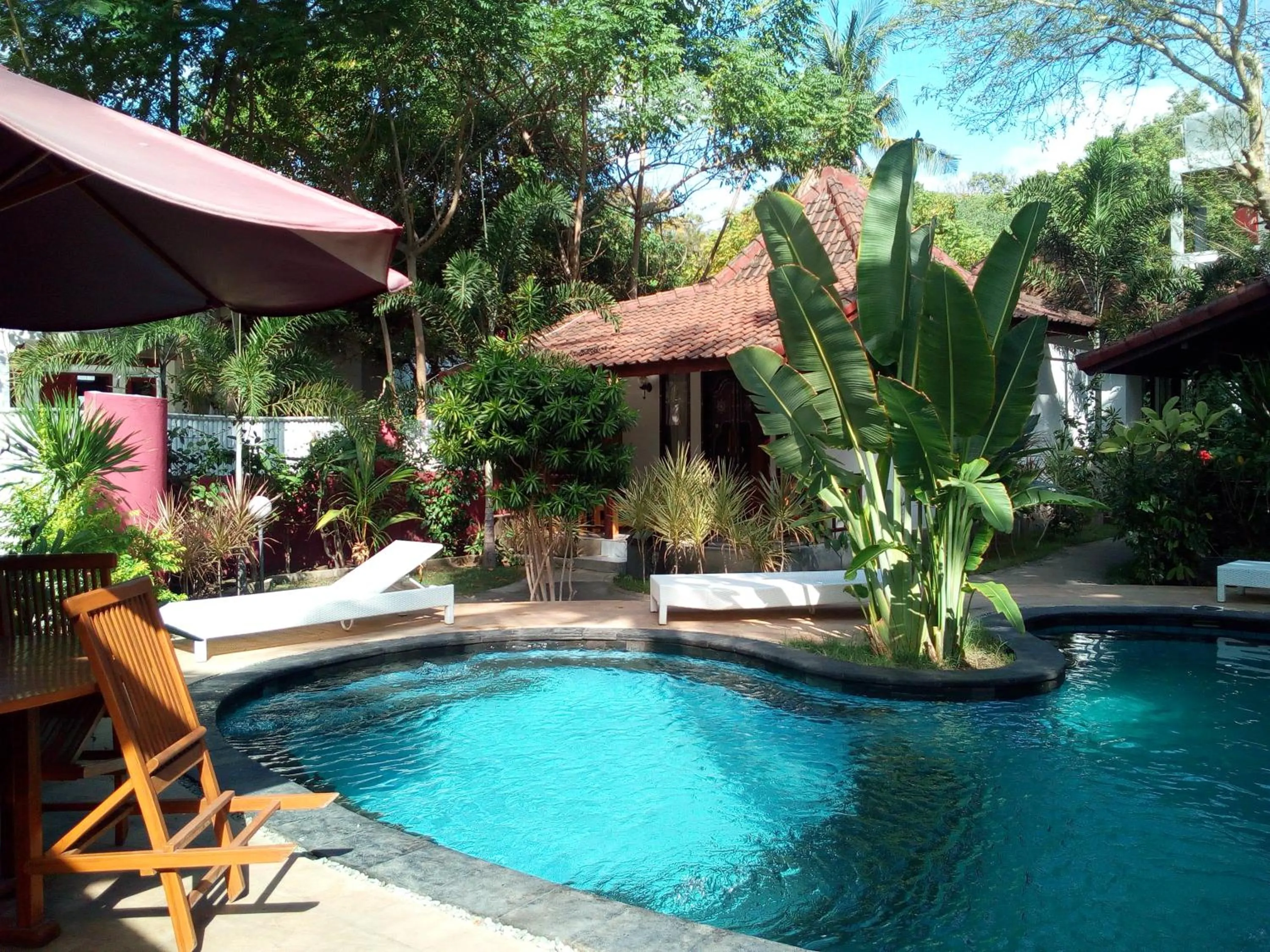 Swimming pool in Banana Leaf Resort