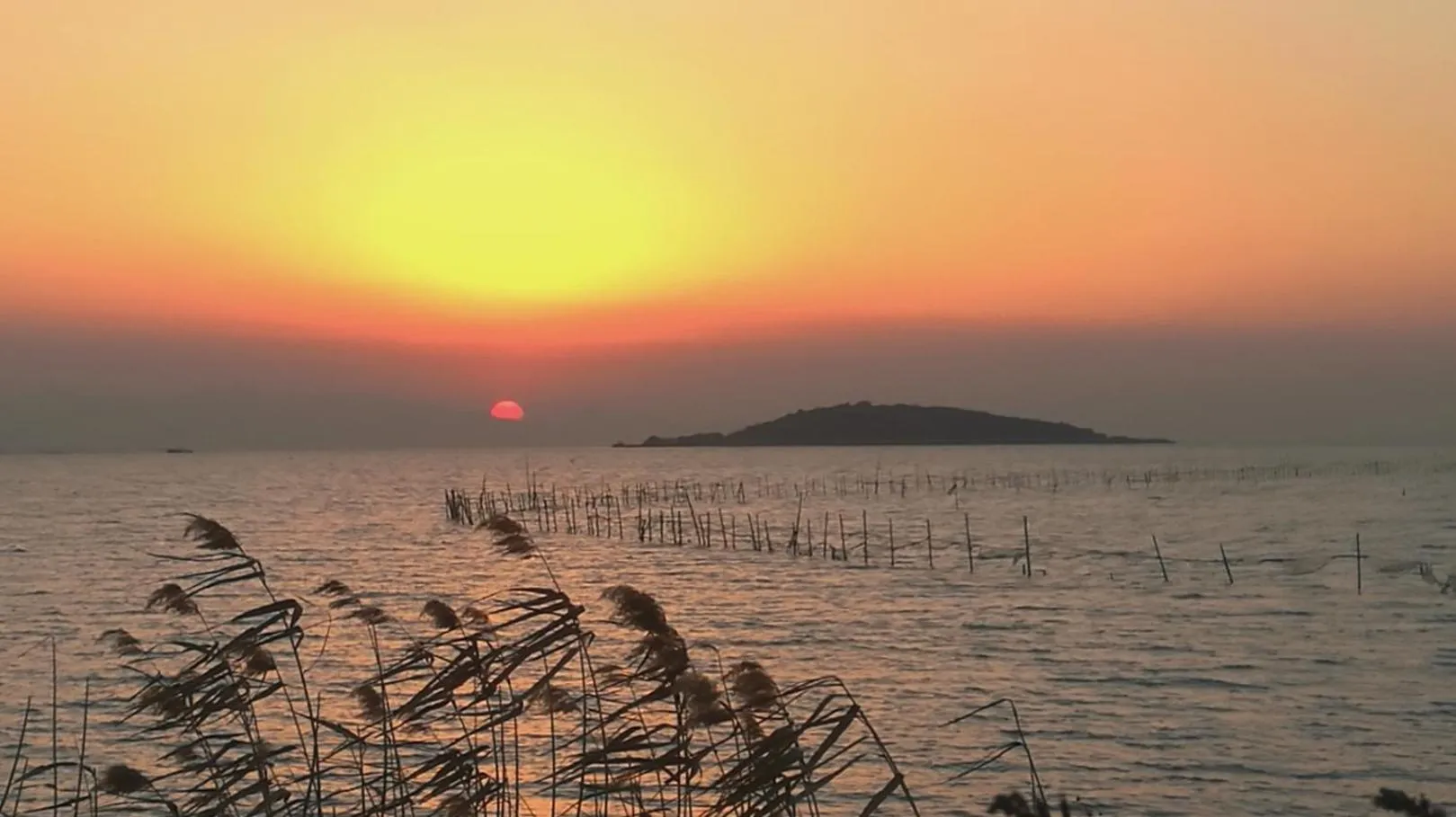 Neighbourhood in Pure-Land Villa