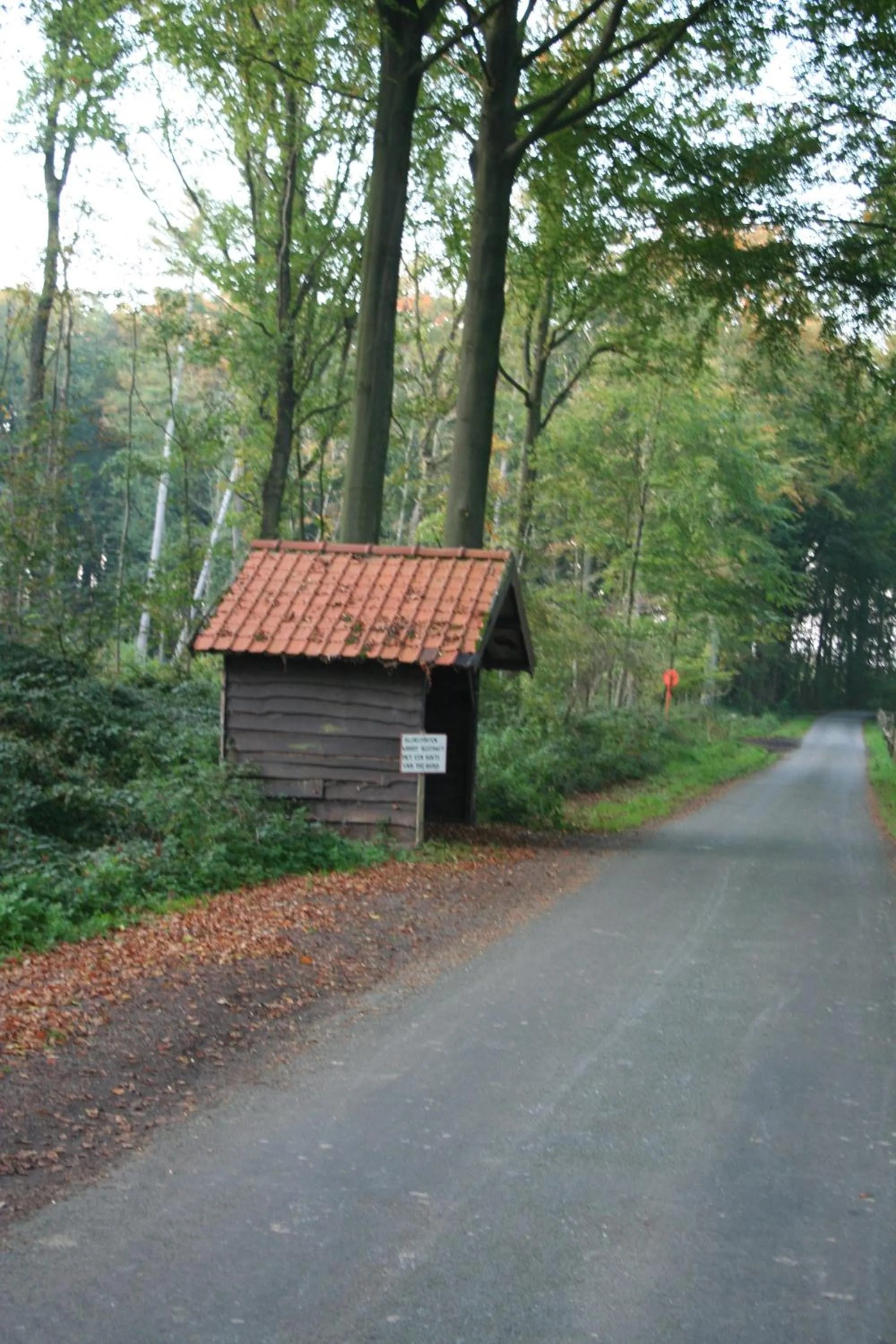 Natural landscape in Hotel Callecanes