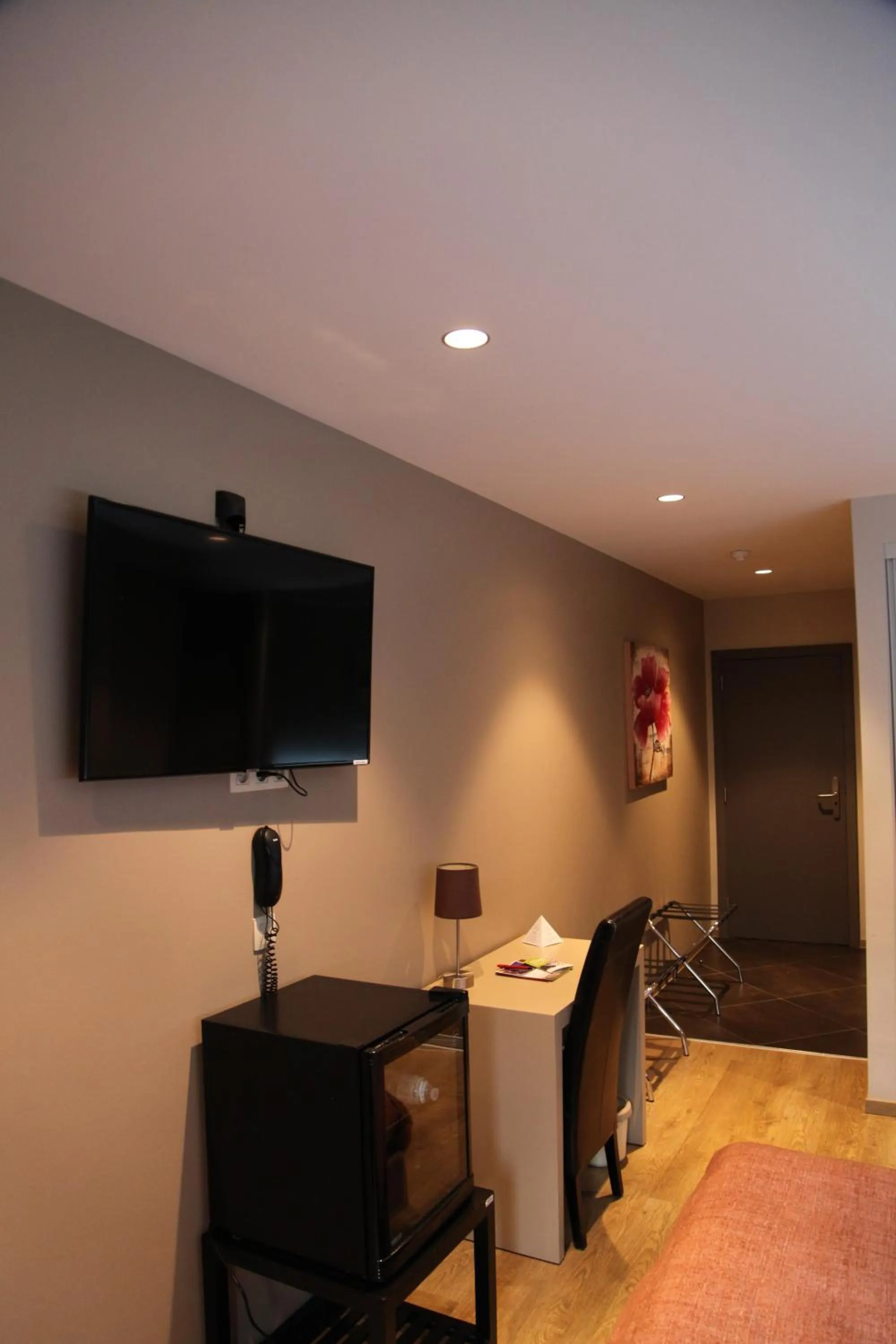 TV and multimedia in Hotel Callecanes