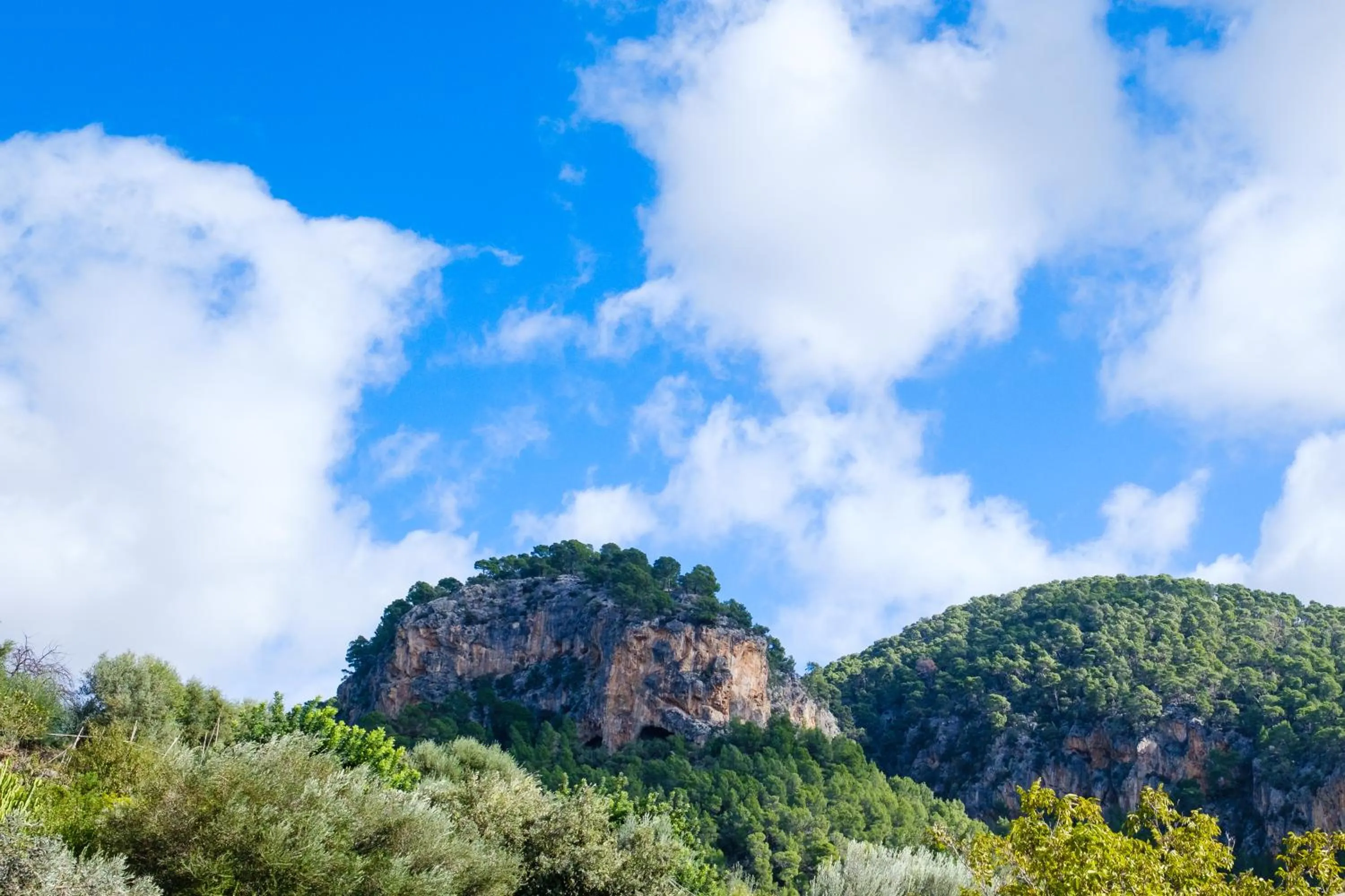 Es Corte Vell - Adults Only