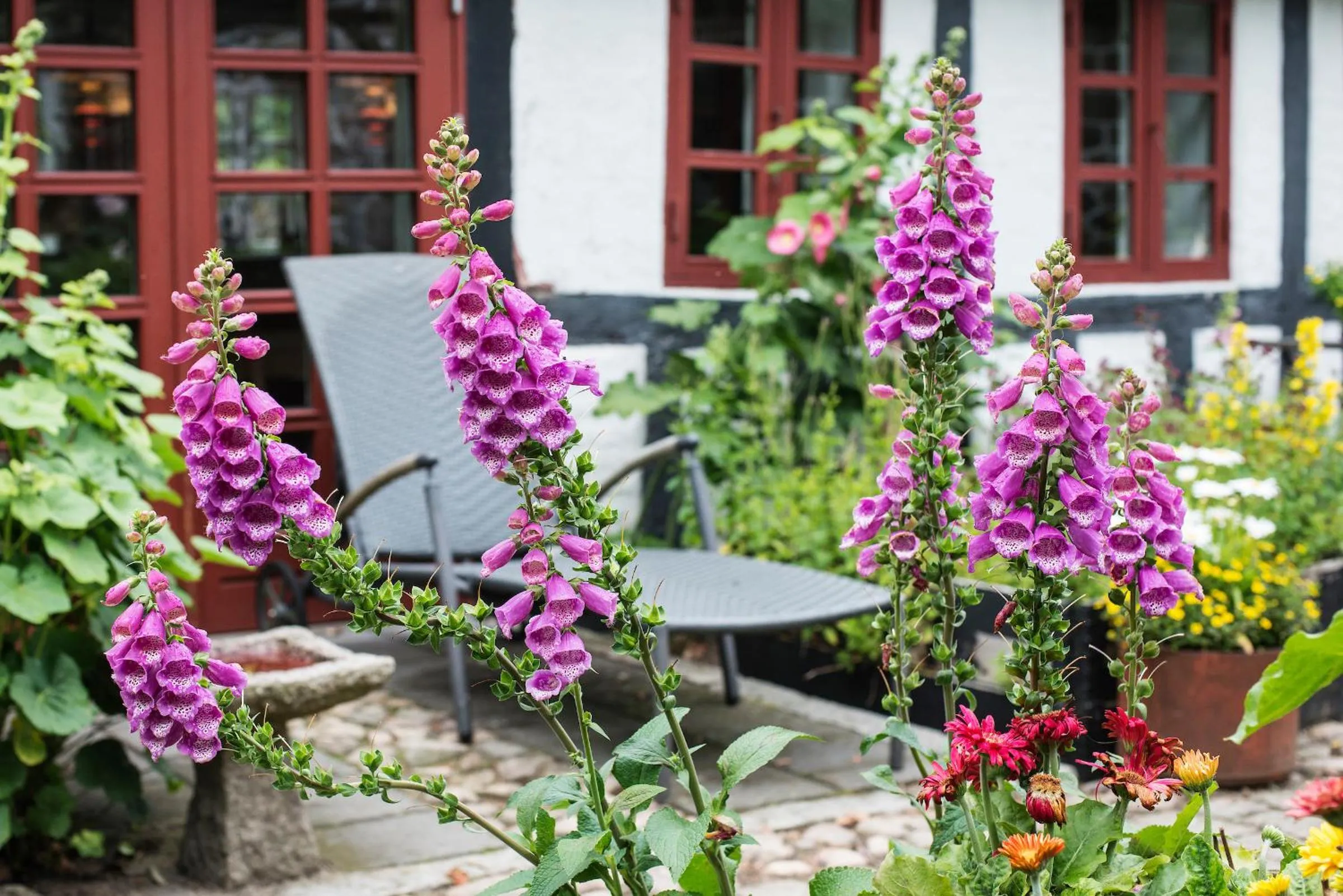 Grundfør bed and breakfast