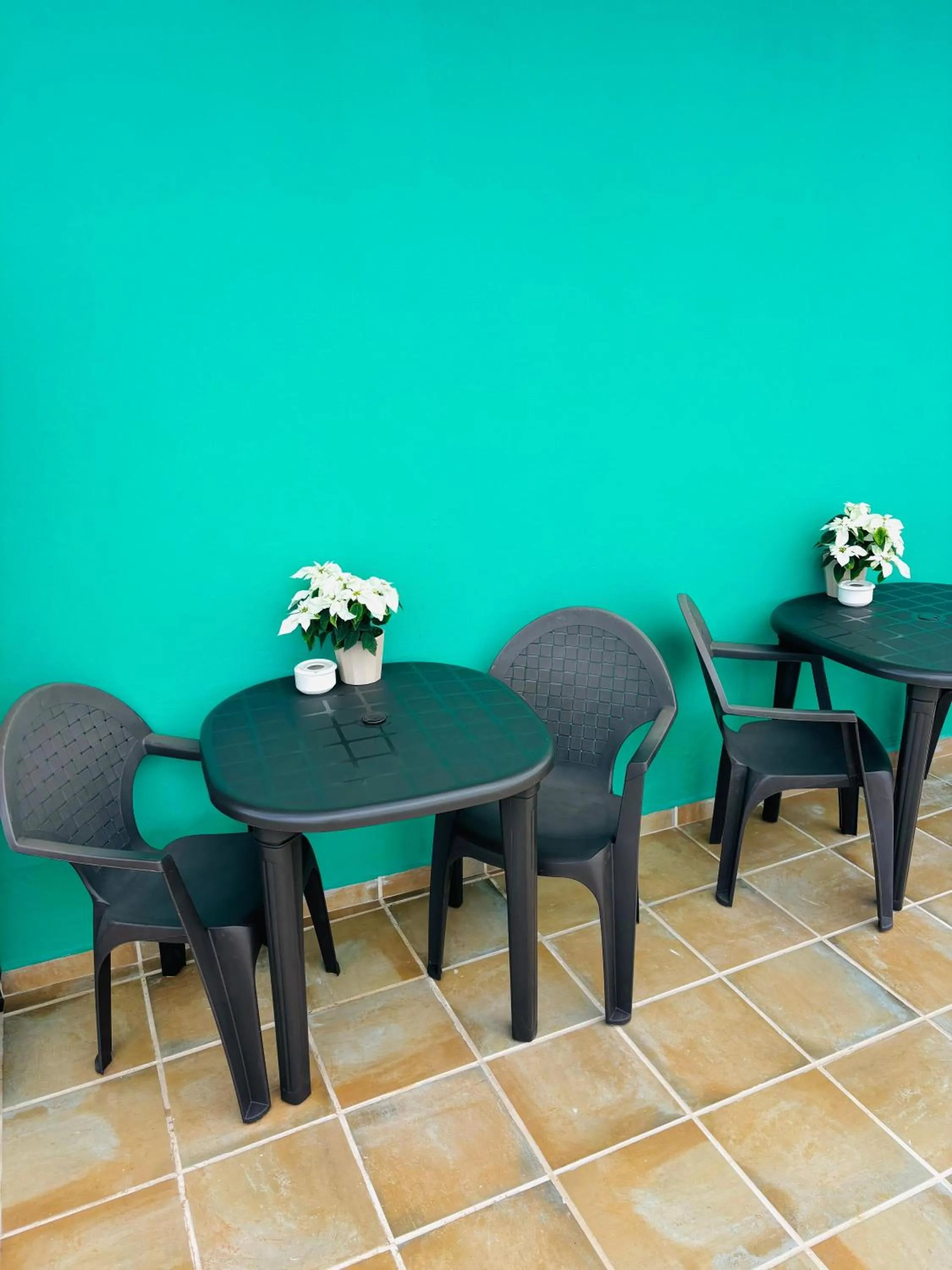 Area and facilities in Finca Rural La Casa Verde