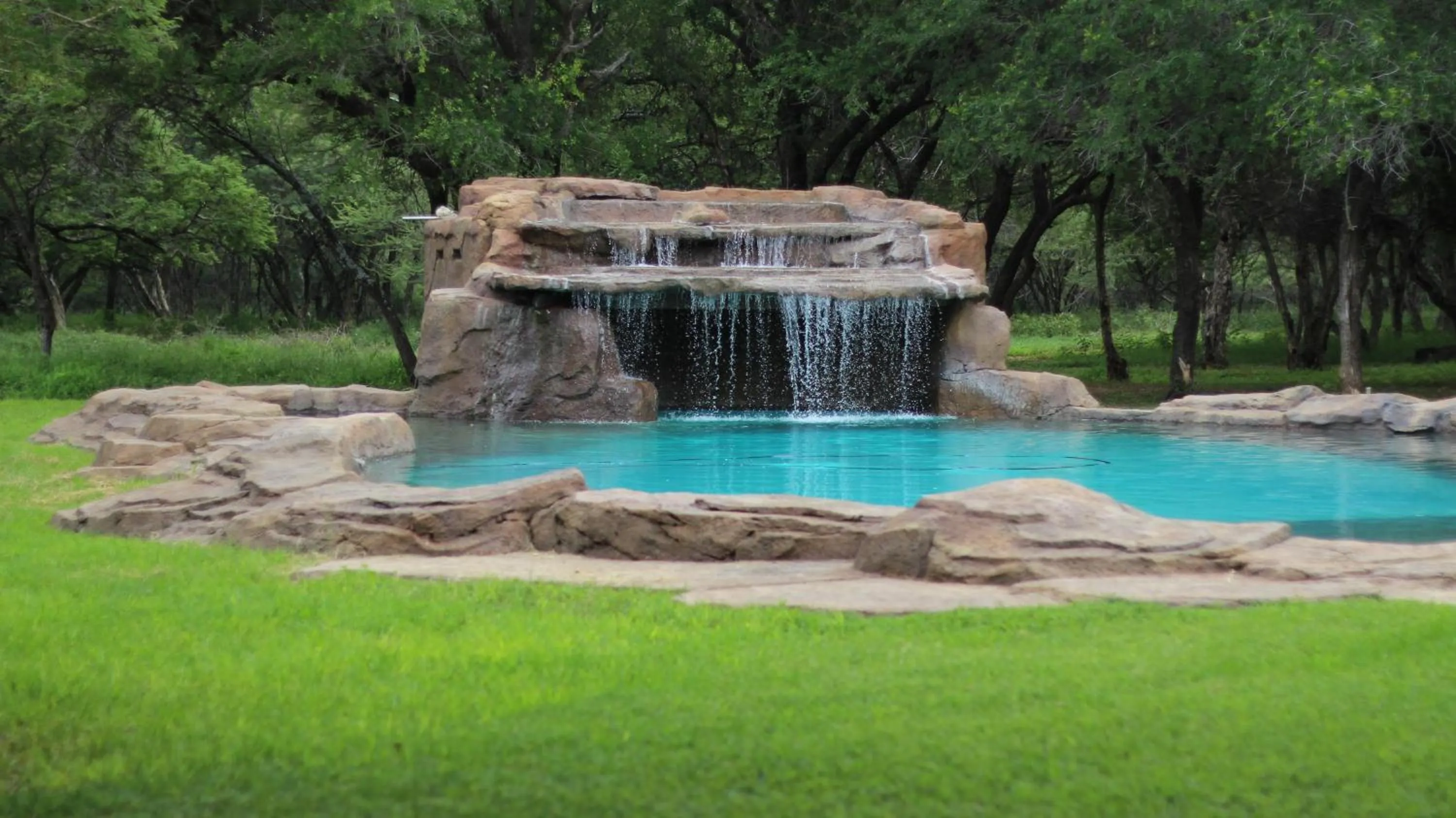Swimming pool in Thabaledi Game Lodge
