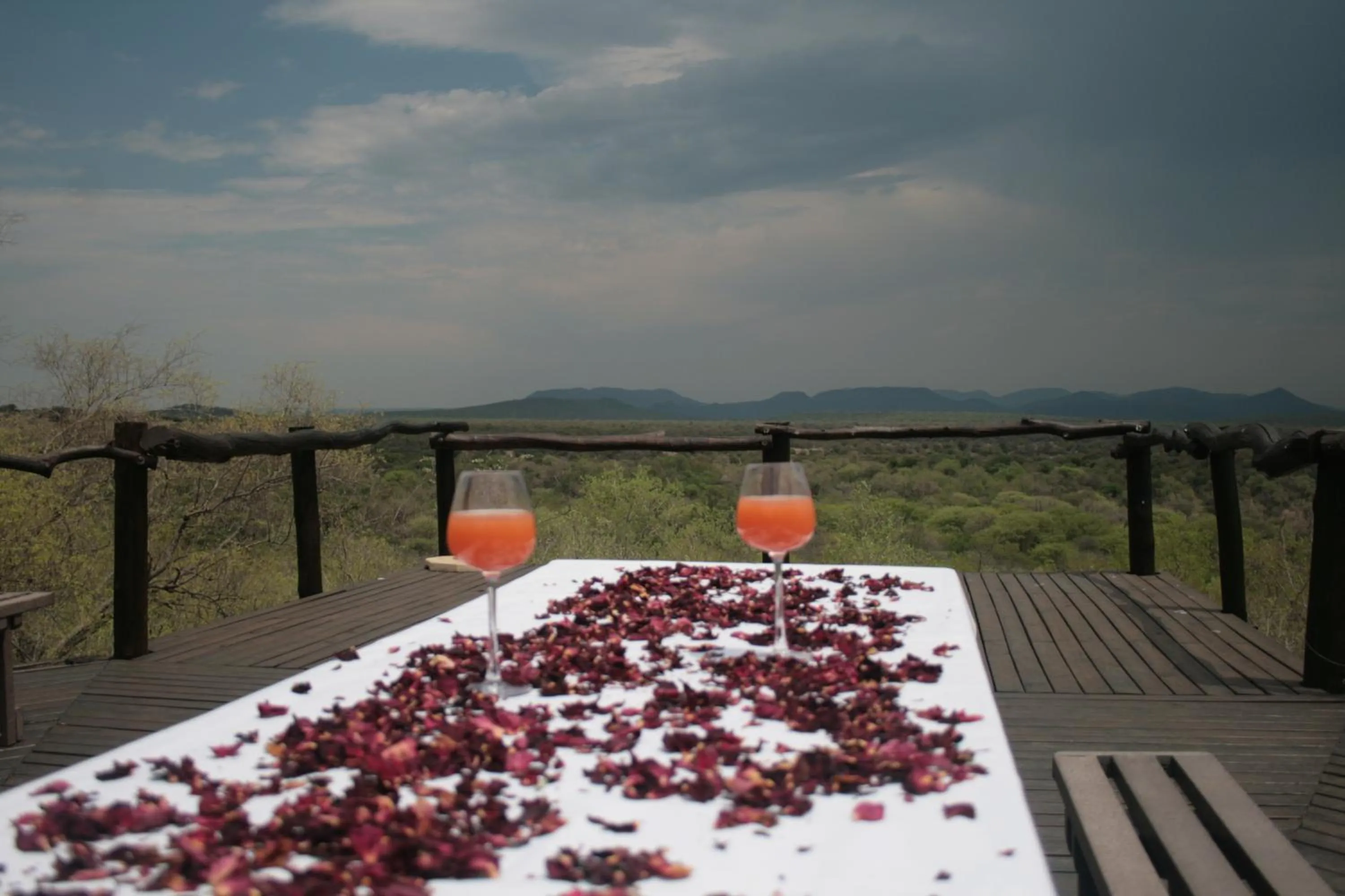 On site in Thabaledi Game Lodge