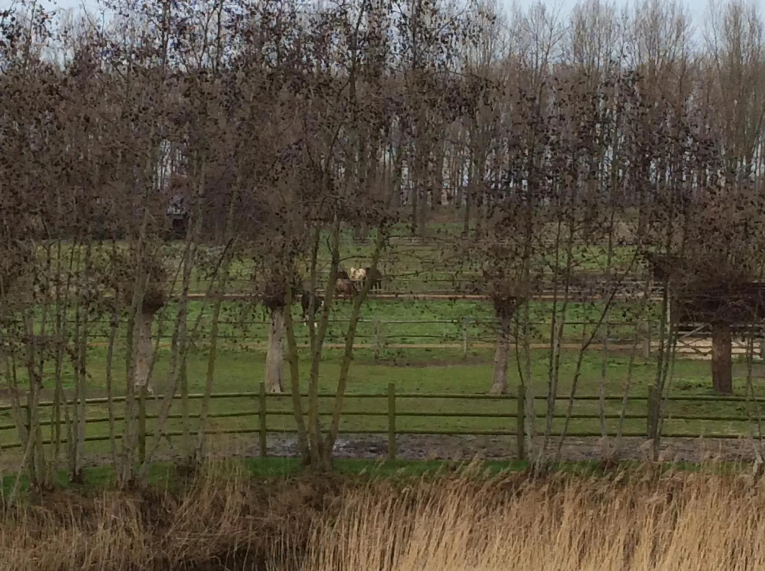 Property building in B&B Quarterhouse