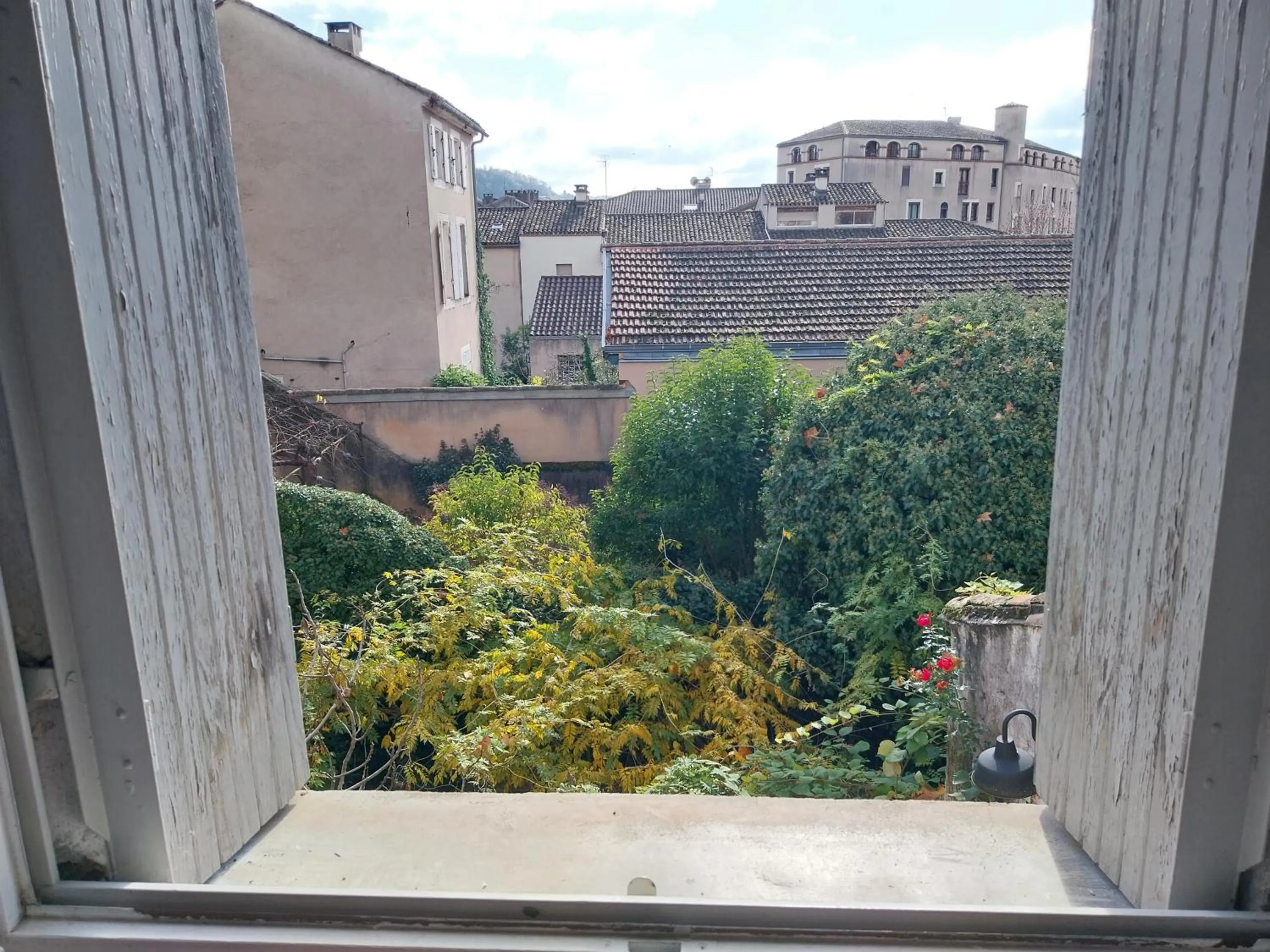 Garden view in Hôtel Jean XXII