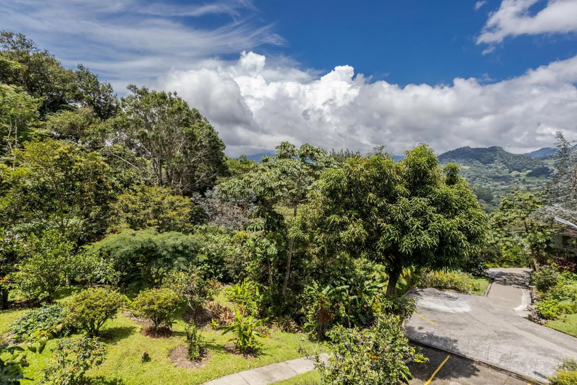 View (from property/room) in Coffee Estate Inn