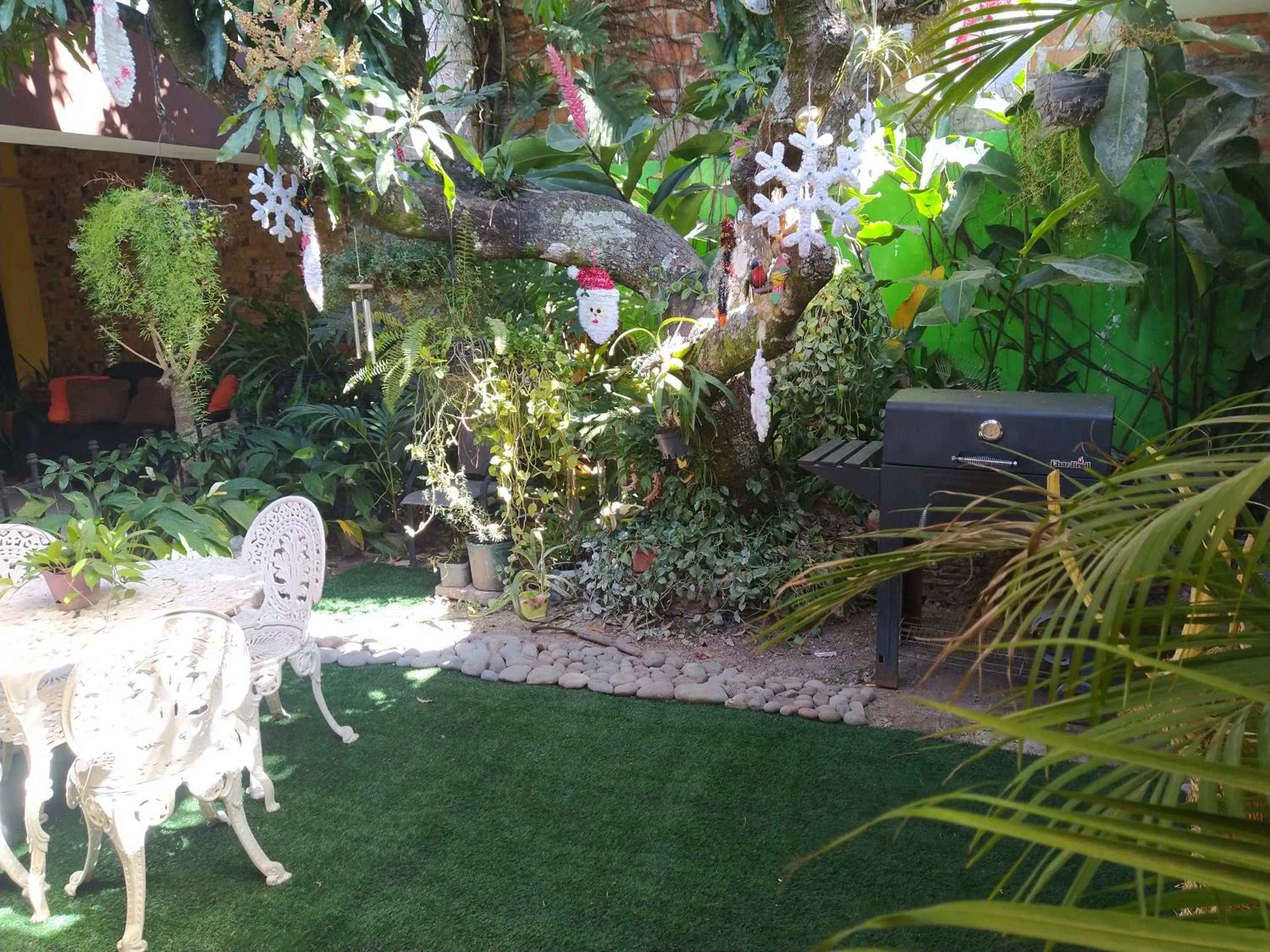 Garden in Hotel Antiguo