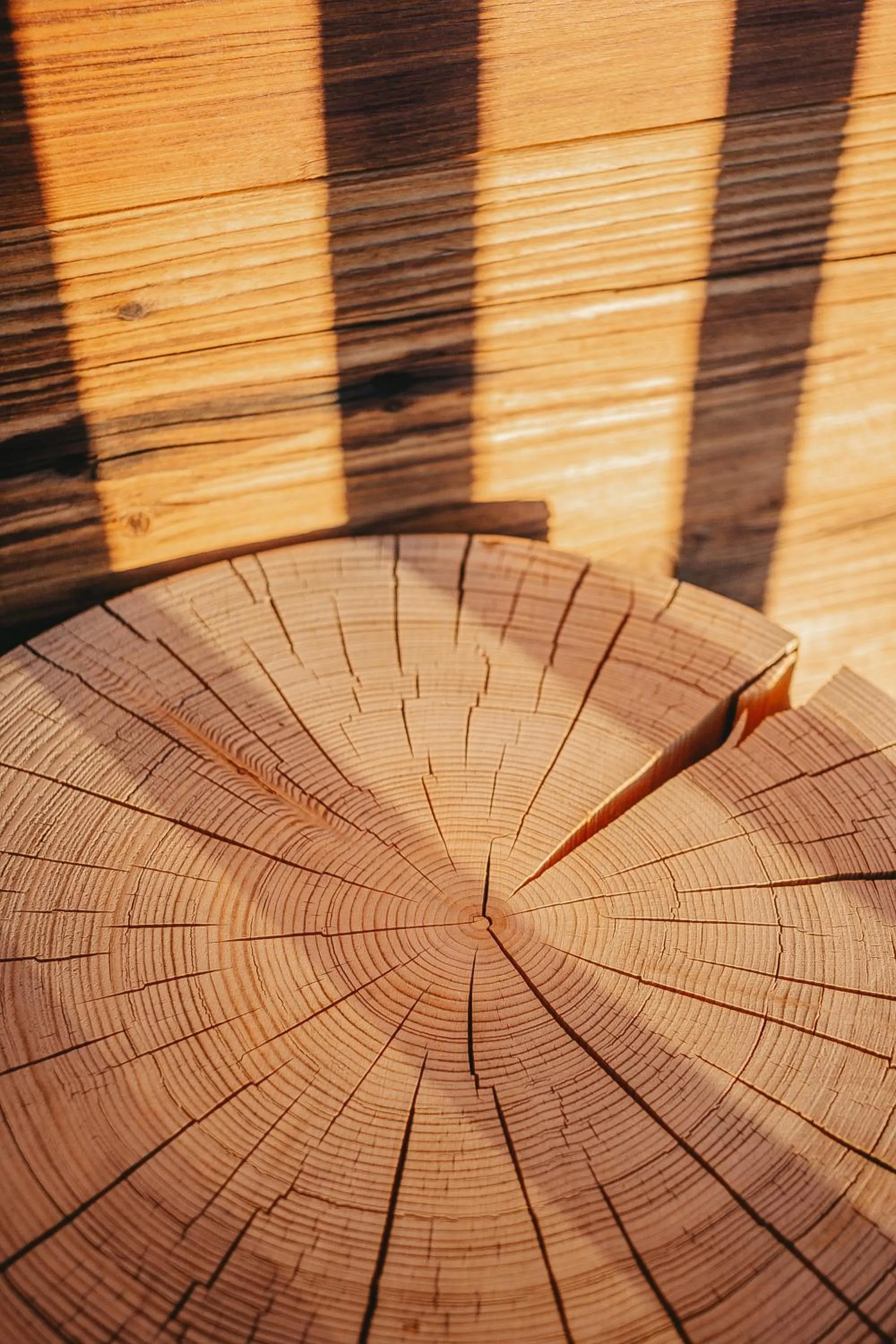 Winter in Chandolin Boutique Hotel