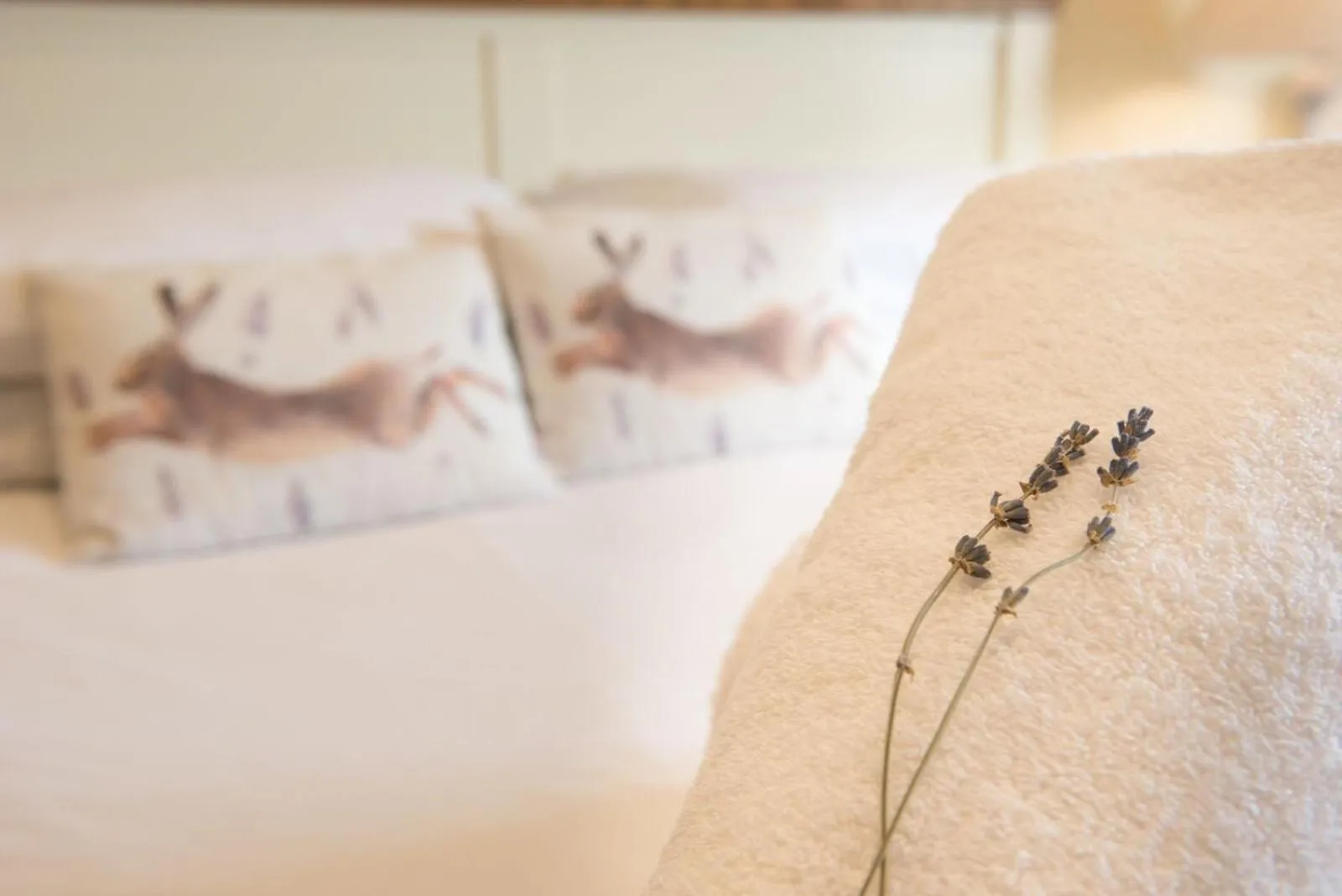 Bed in The Lodge at Broadway