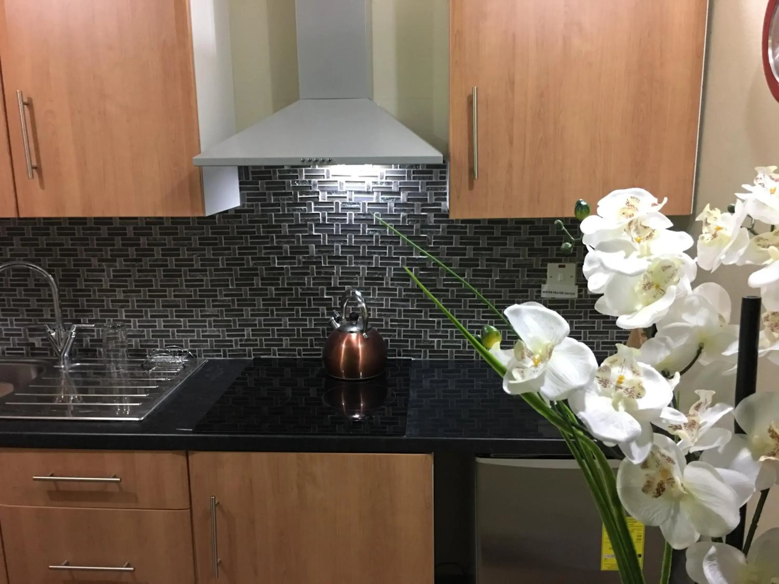 One-Bedroom Apartment - single occupancy in Abacus Jamaica the Zana Suites One-Bedroom Apartment - single occupancy in Abacus Jamaica the Zana Suites