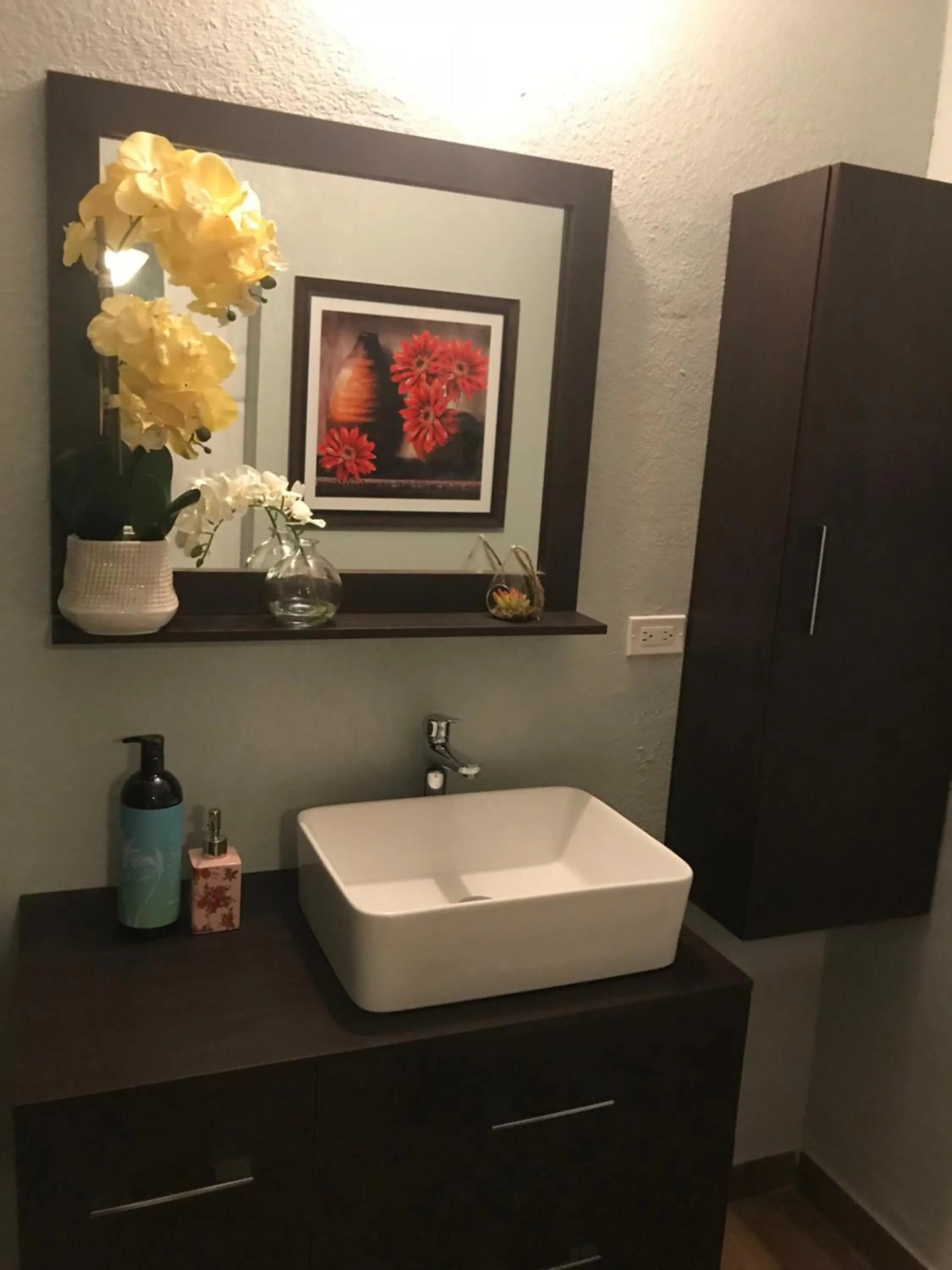 Abacus Jamaica the Zana Suites