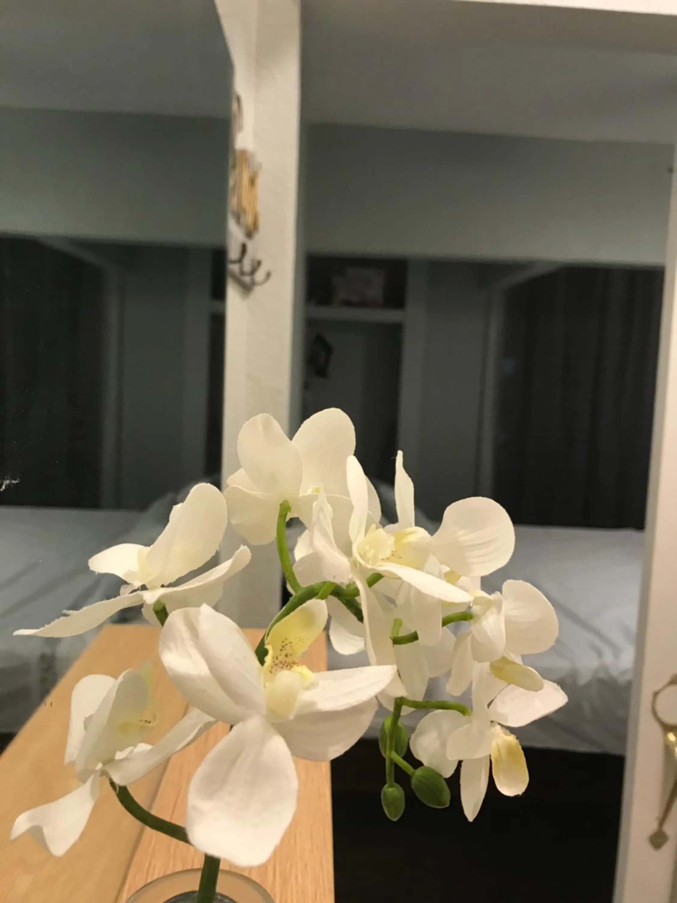 Bed in Abacus Jamaica the Zana Suites