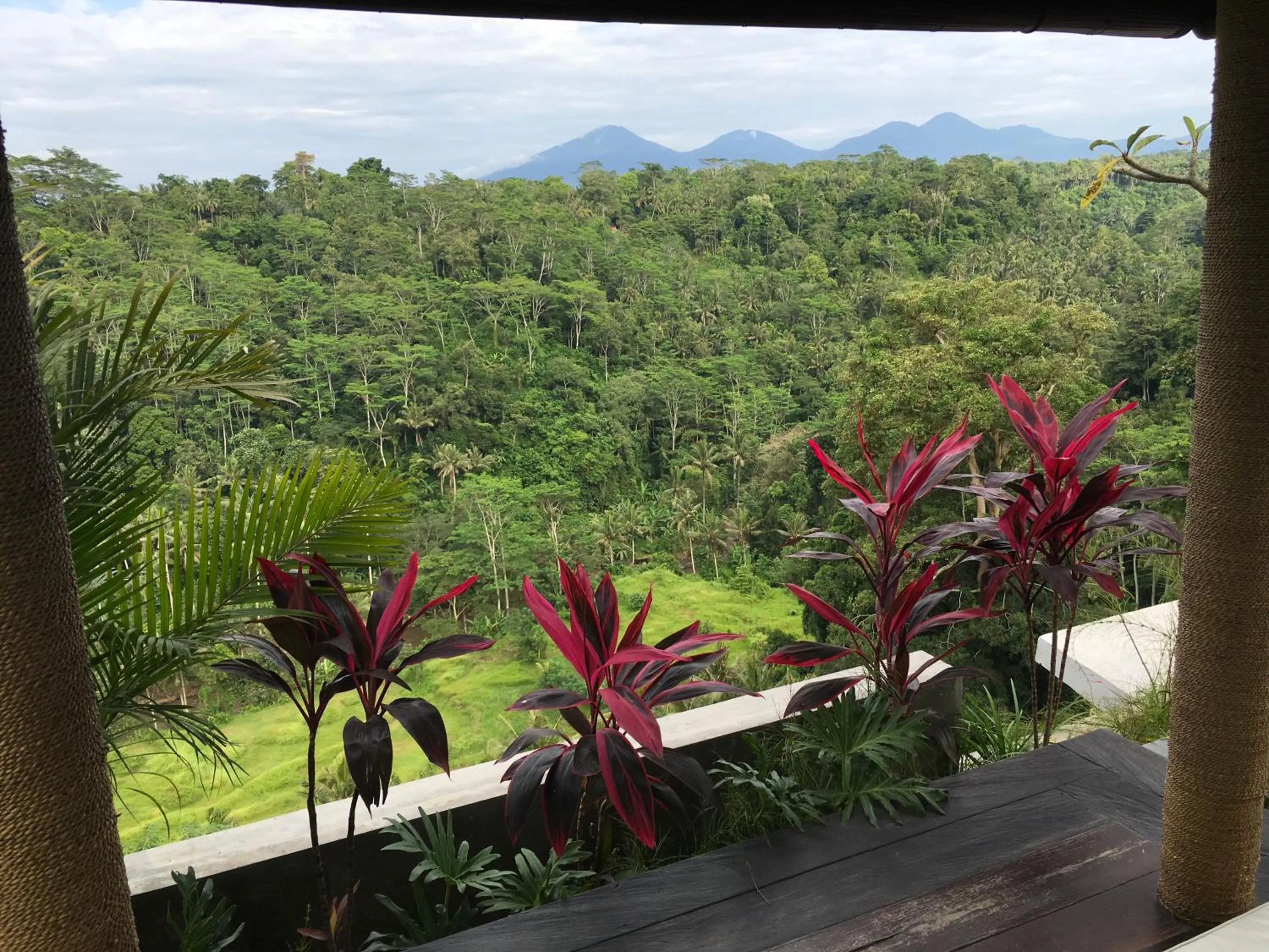 View (from property/room) in Ayuterra Resort