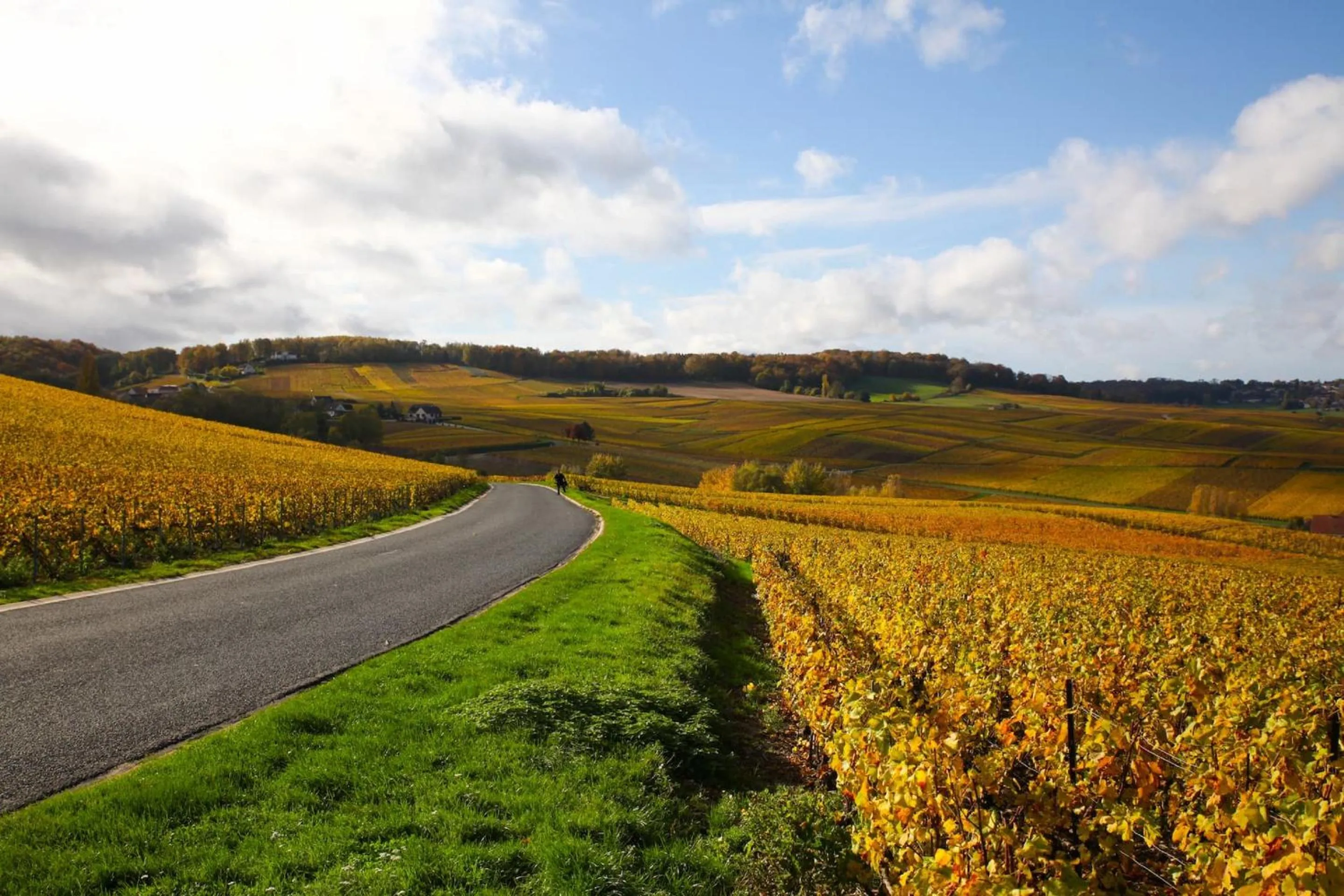 Natural landscape in Briqueterie Champagne, A Beauvallon Hotel & Spa