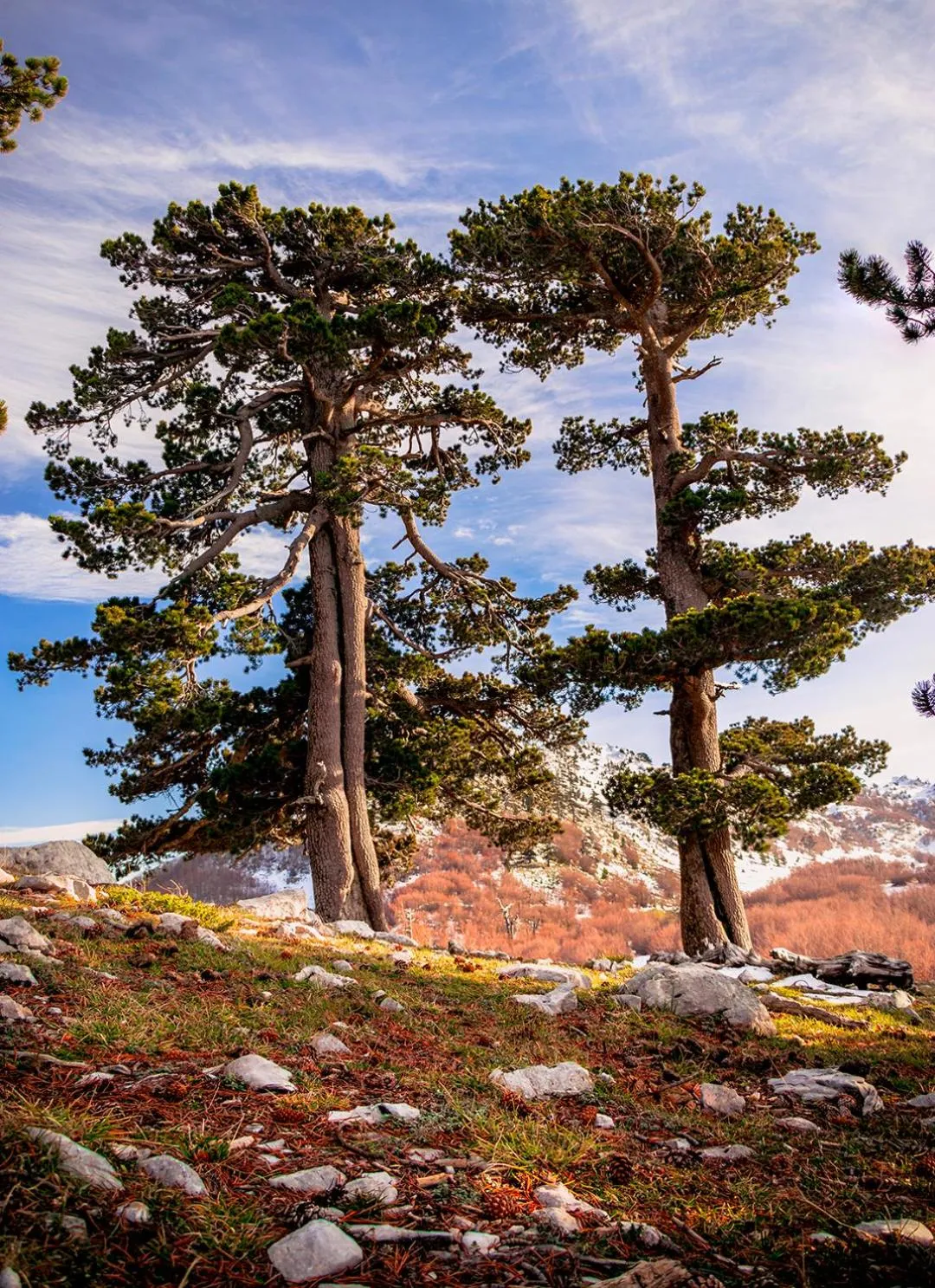 San Raffaele Hotel Restaurant & Resort