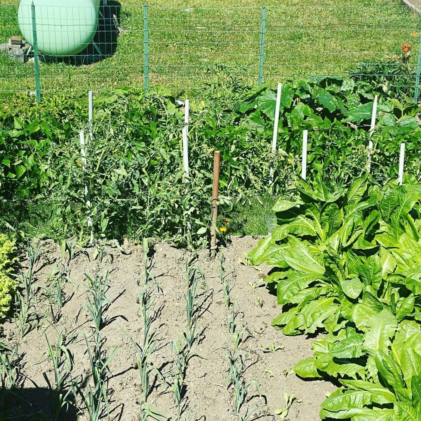 Dinner in Auberge Le Relais
