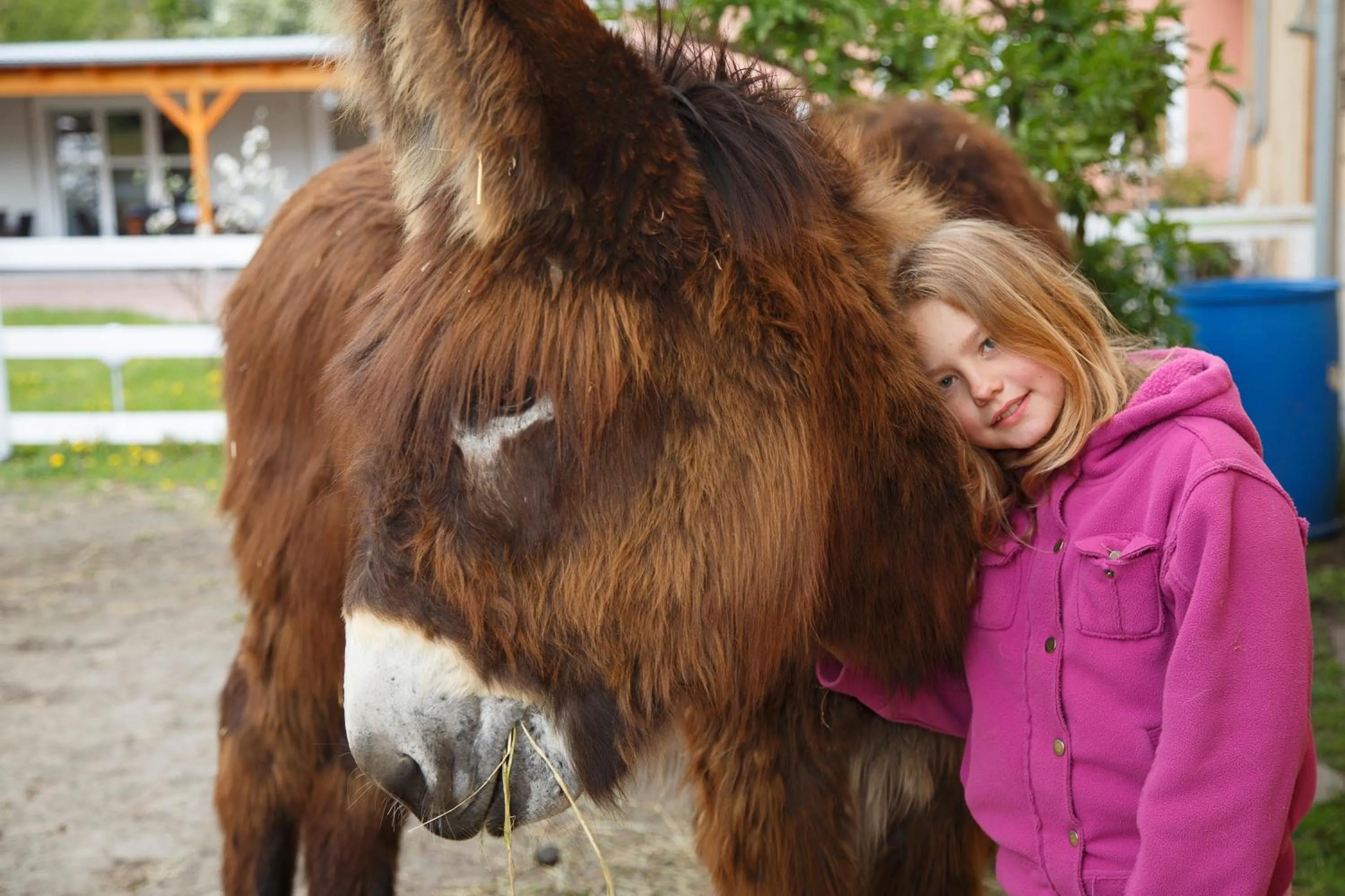 Animals in Garni Hotel Lavendelhof