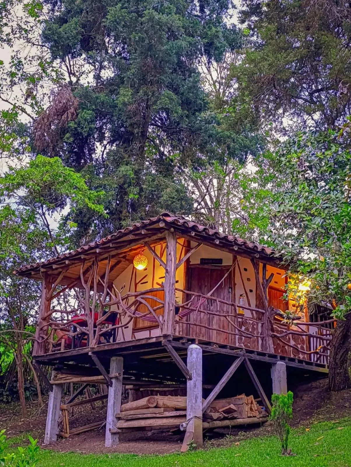 Garden in Hotel La Casa de Francois