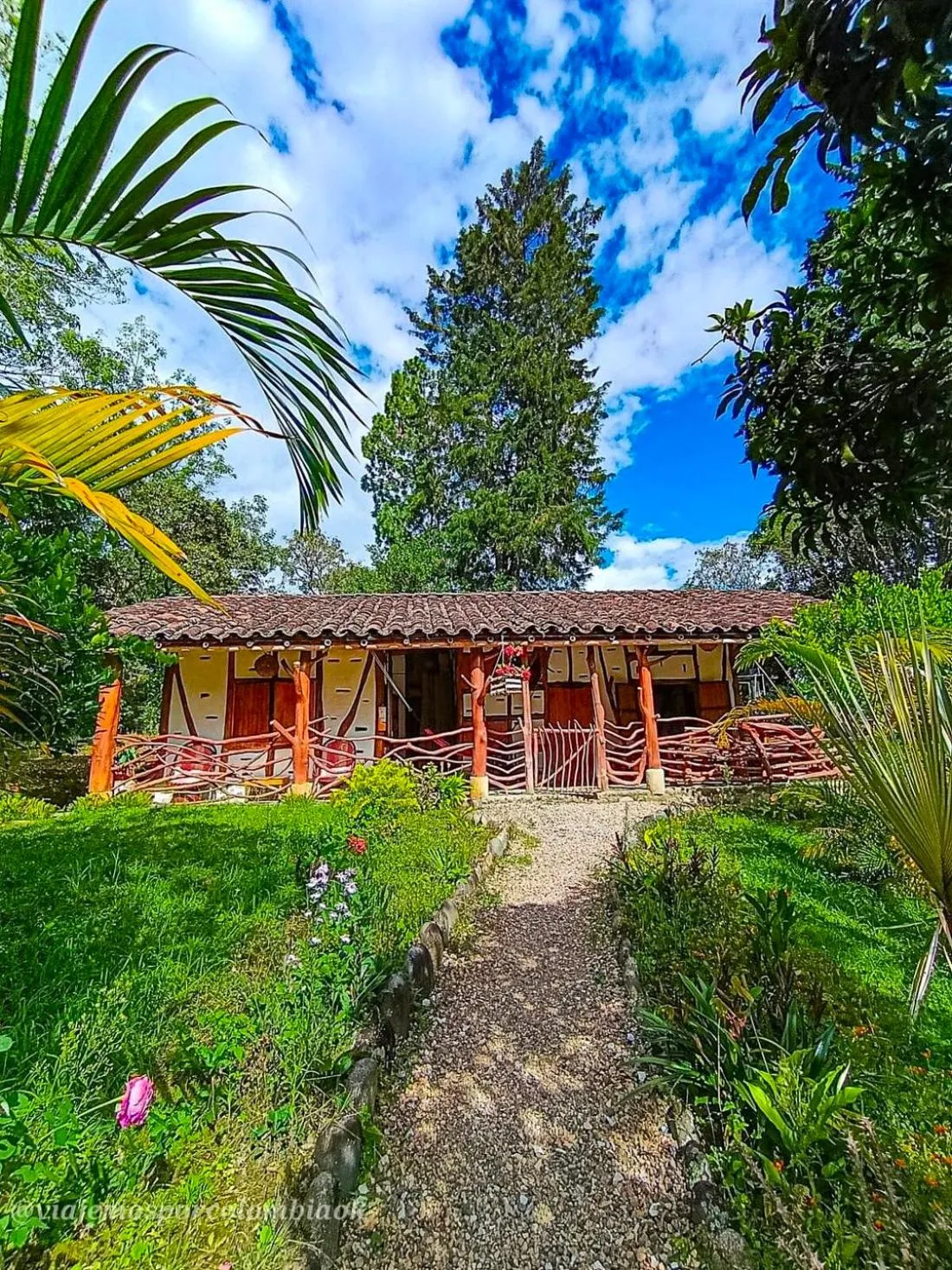 Garden view in Hotel La Casa de Francois