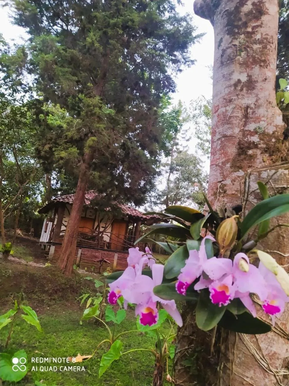 Spring in Hotel La Casa de Francois