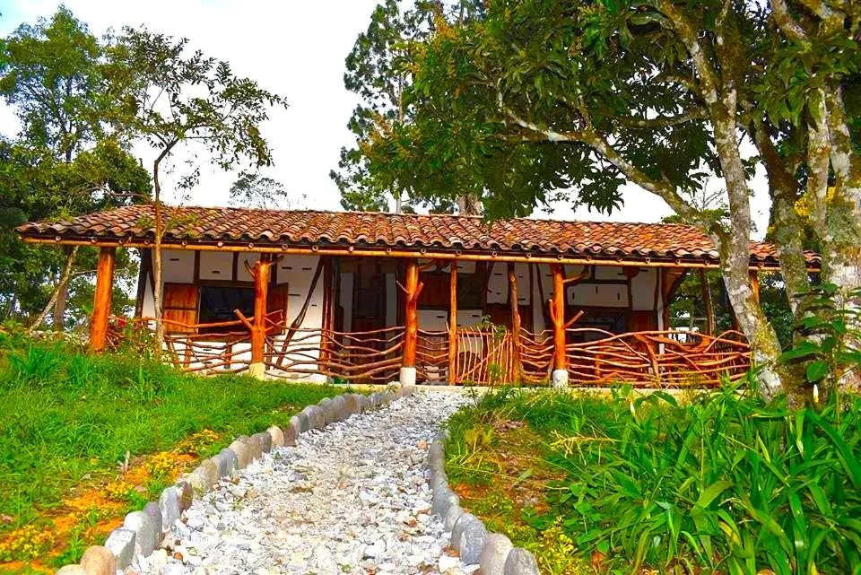 Garden in Hotel La Casa de Francois
