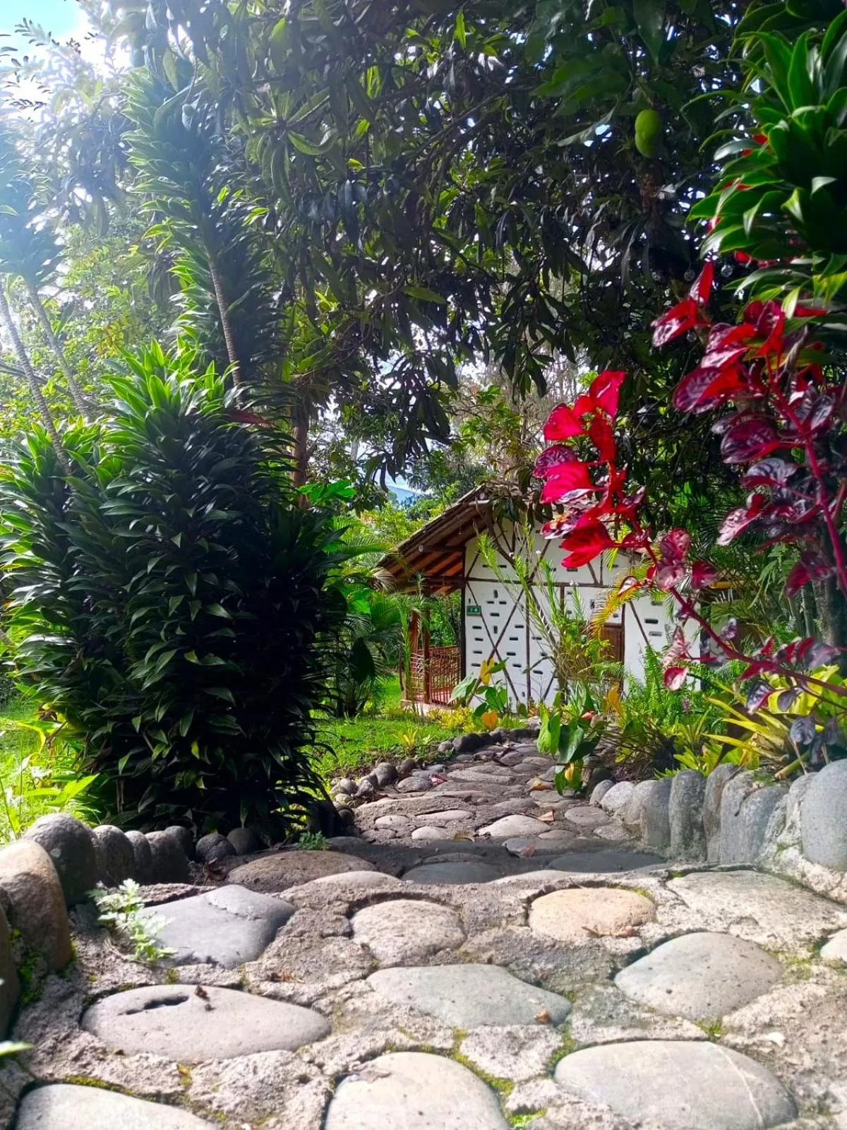 Garden view in Hotel La Casa de Francois