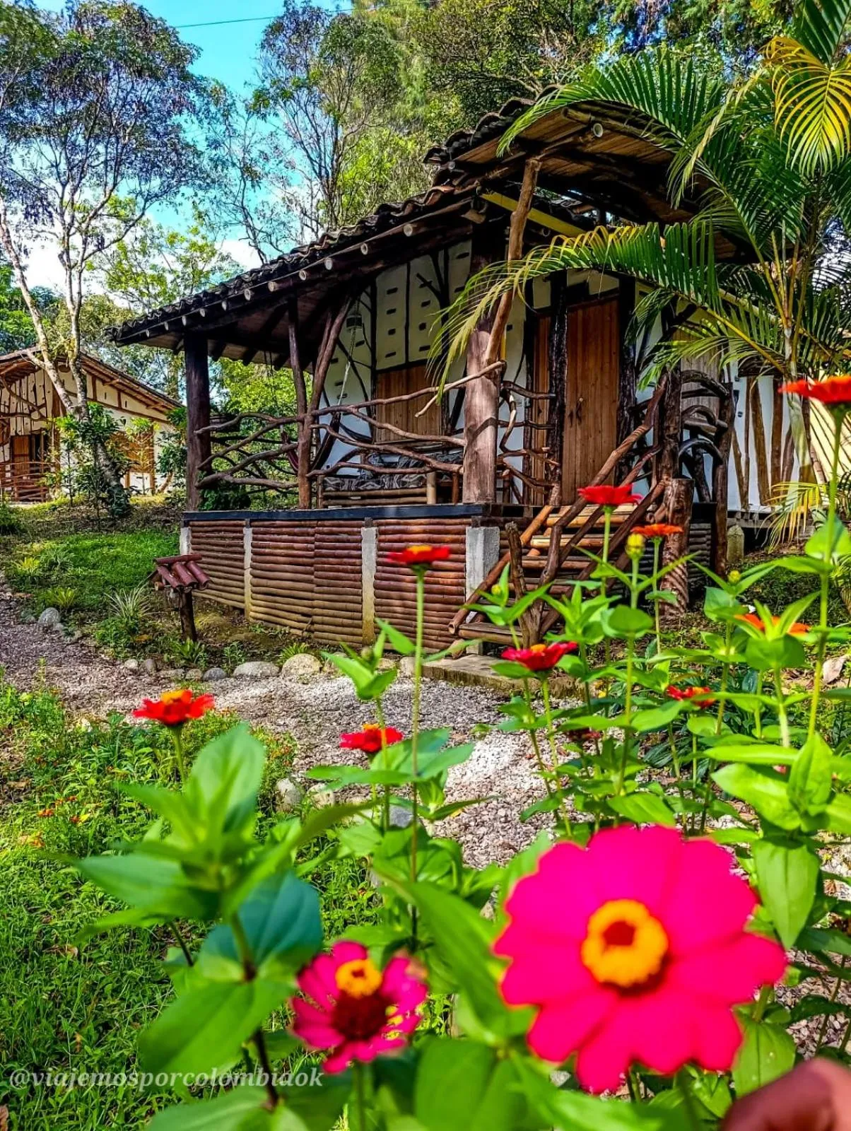 Garden in Hotel La Casa de Francois