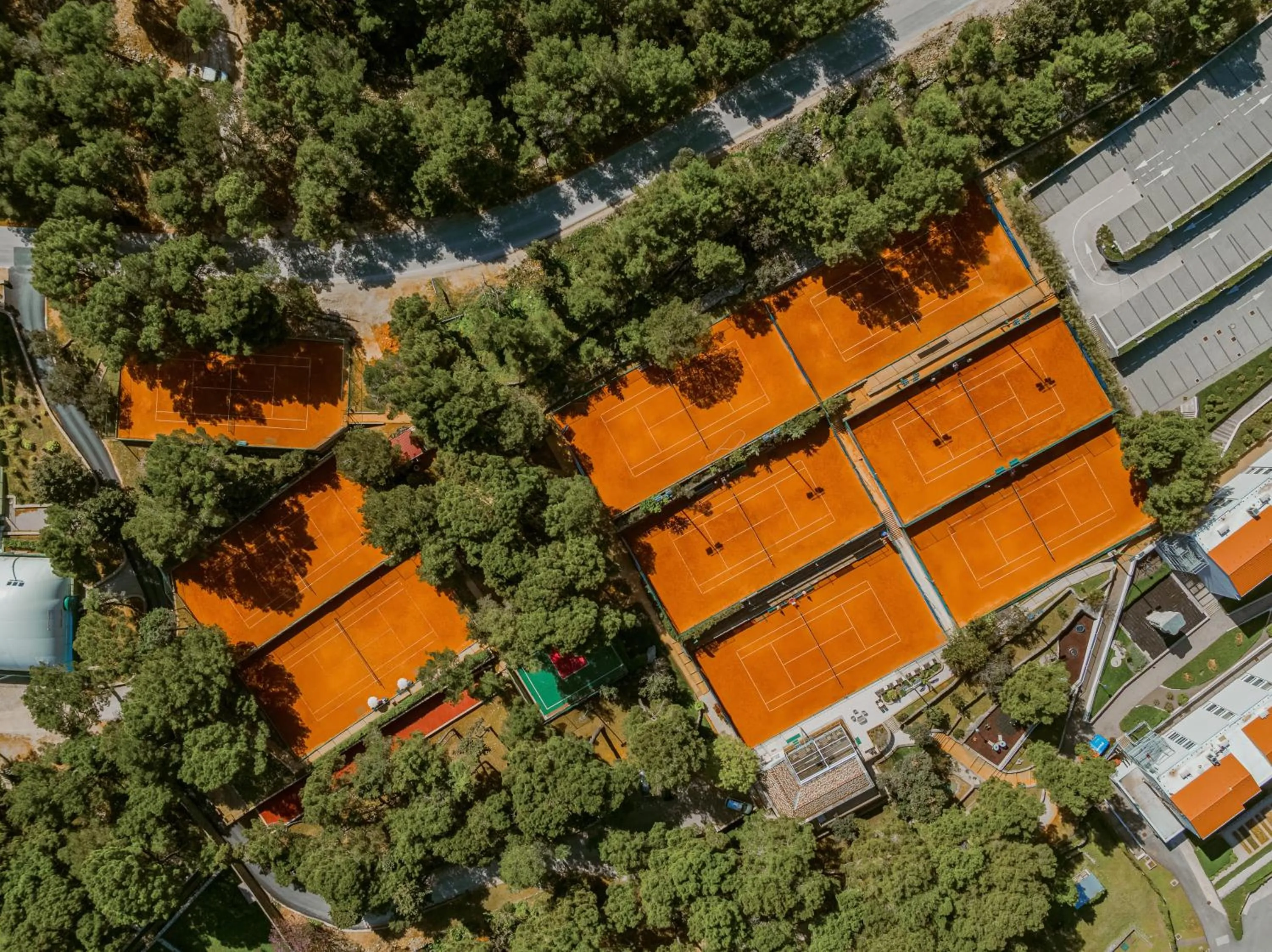 Day in Vitality Hotel Punta