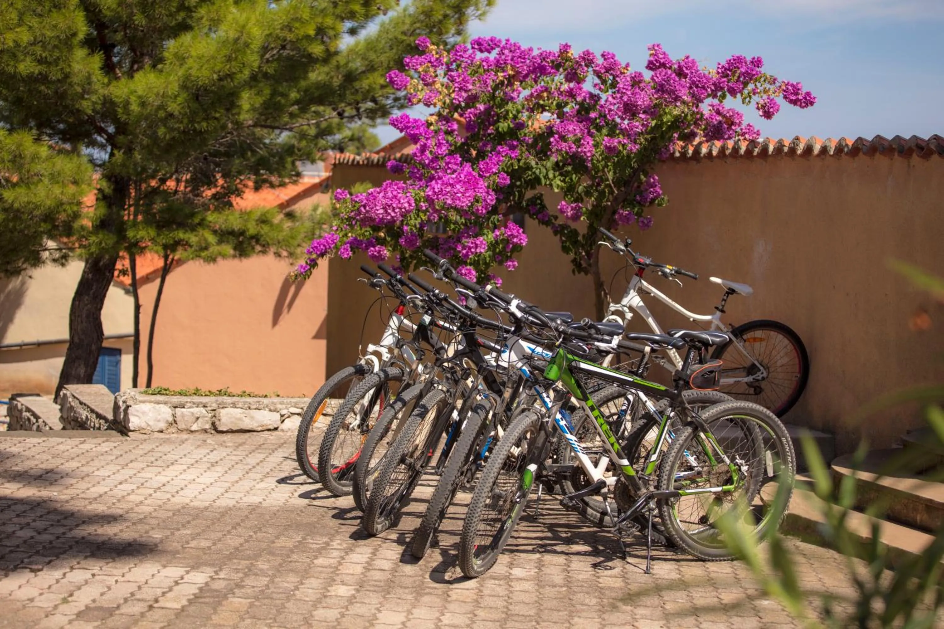 Cycling in Vitality Hotel Punta
