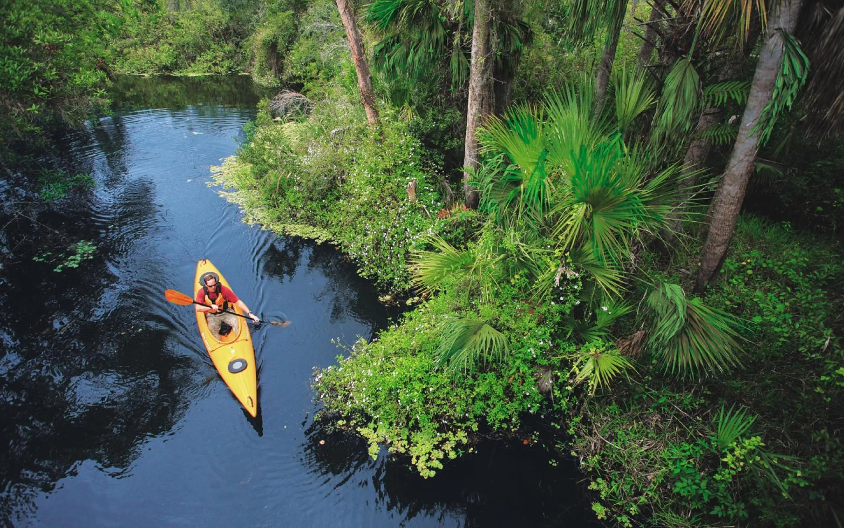 Sports in Sanibel Island Beach Resort