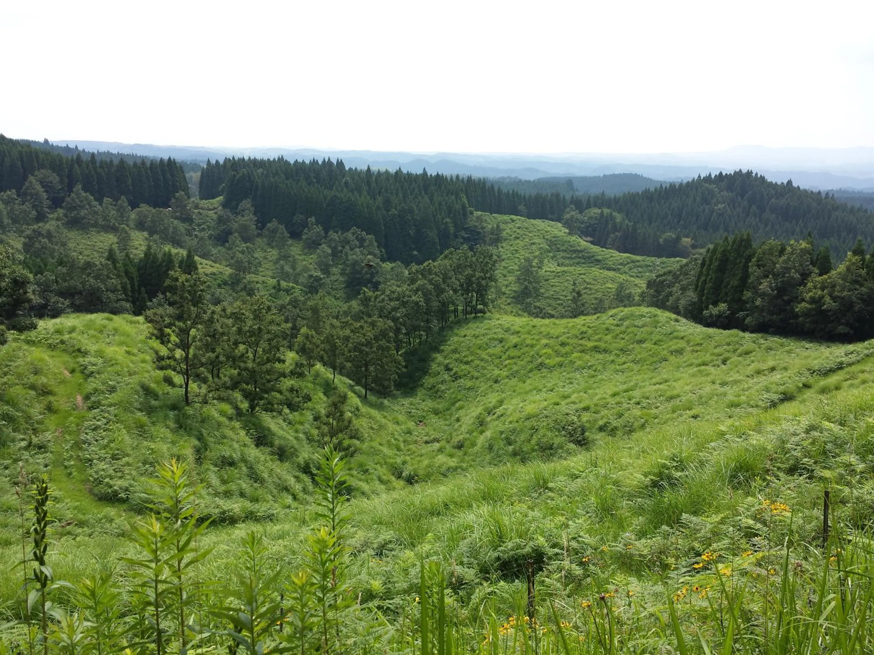 Natural landscape in Kurasako Onsen Sakura