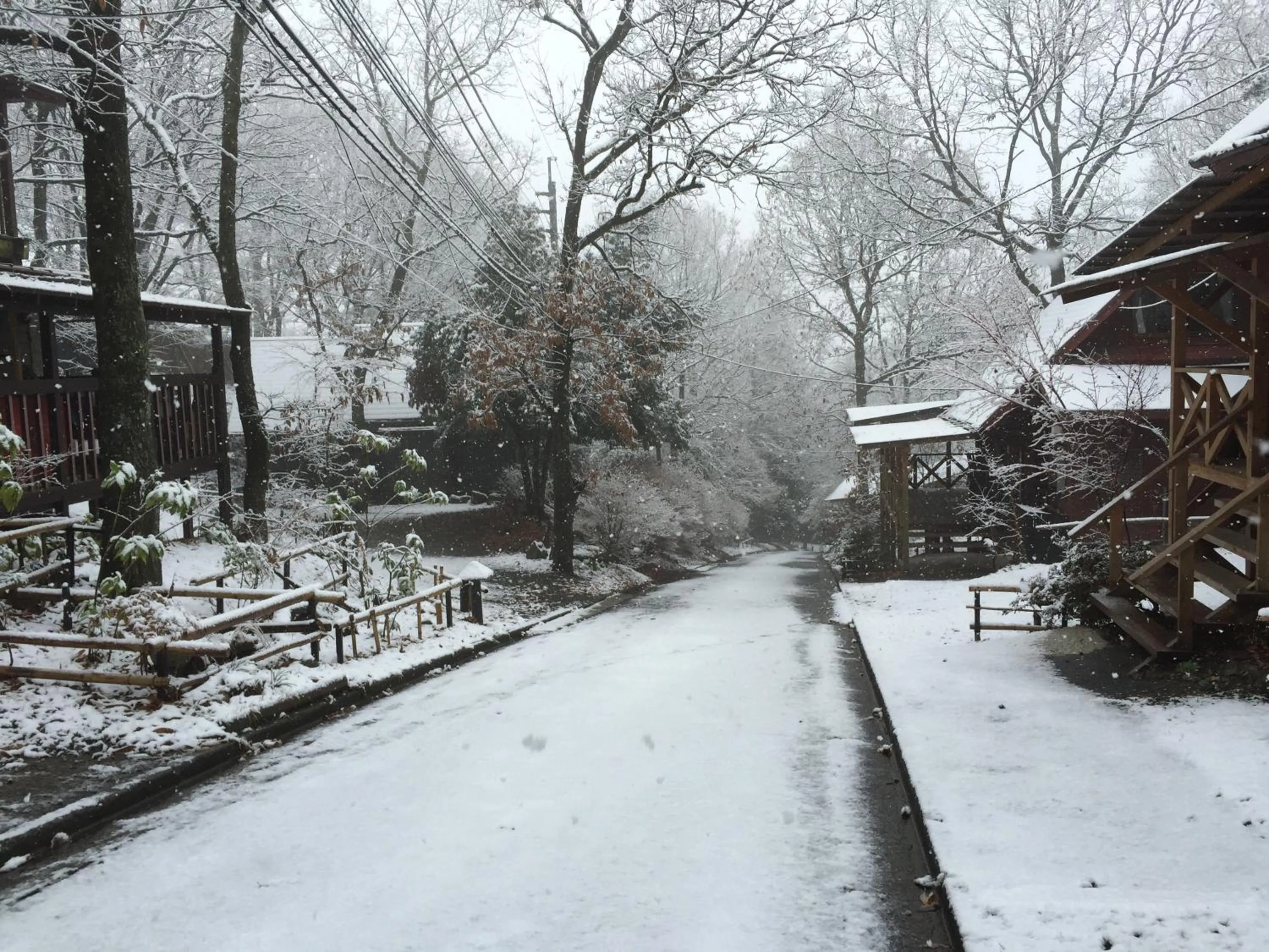 Natural landscape in Kurasako Onsen Sakura