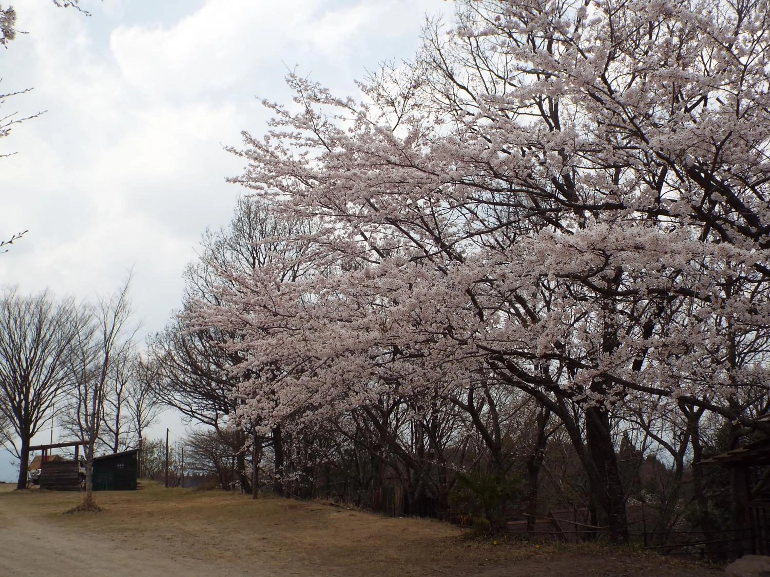 Area and facilities in Kurasako Onsen Sakura