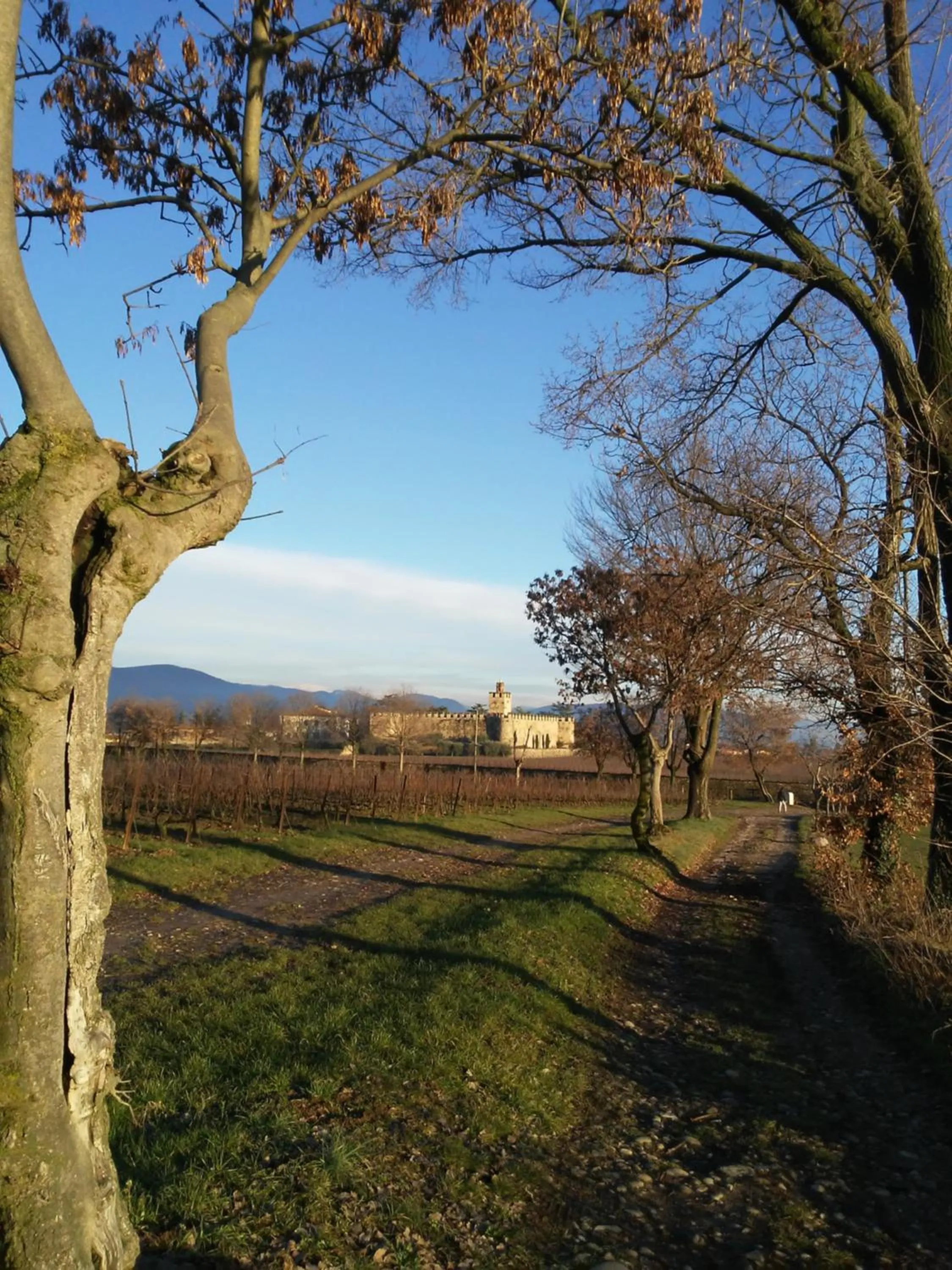 Natural landscape in Cascina San Martino