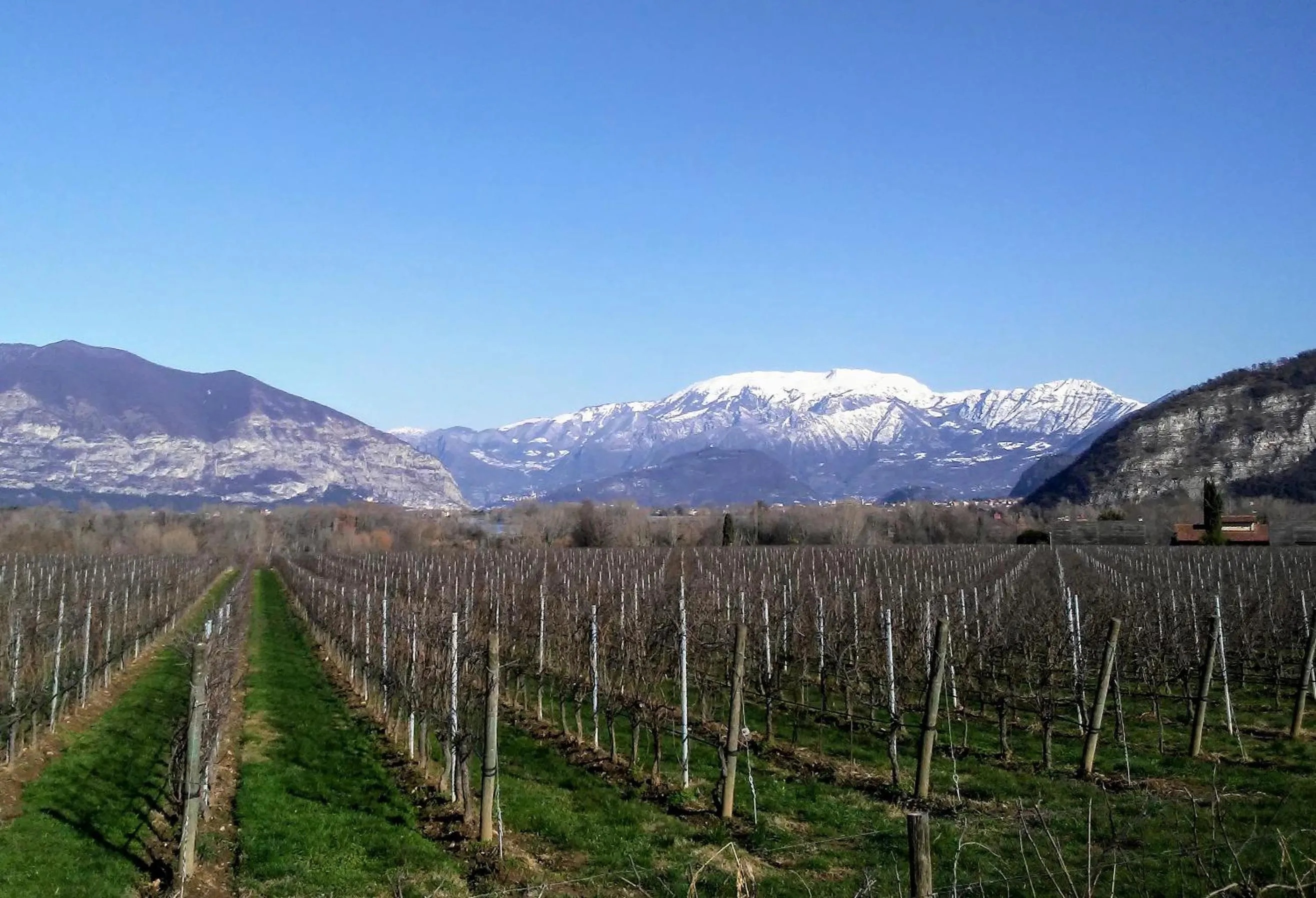 Hiking in Cascina San Martino