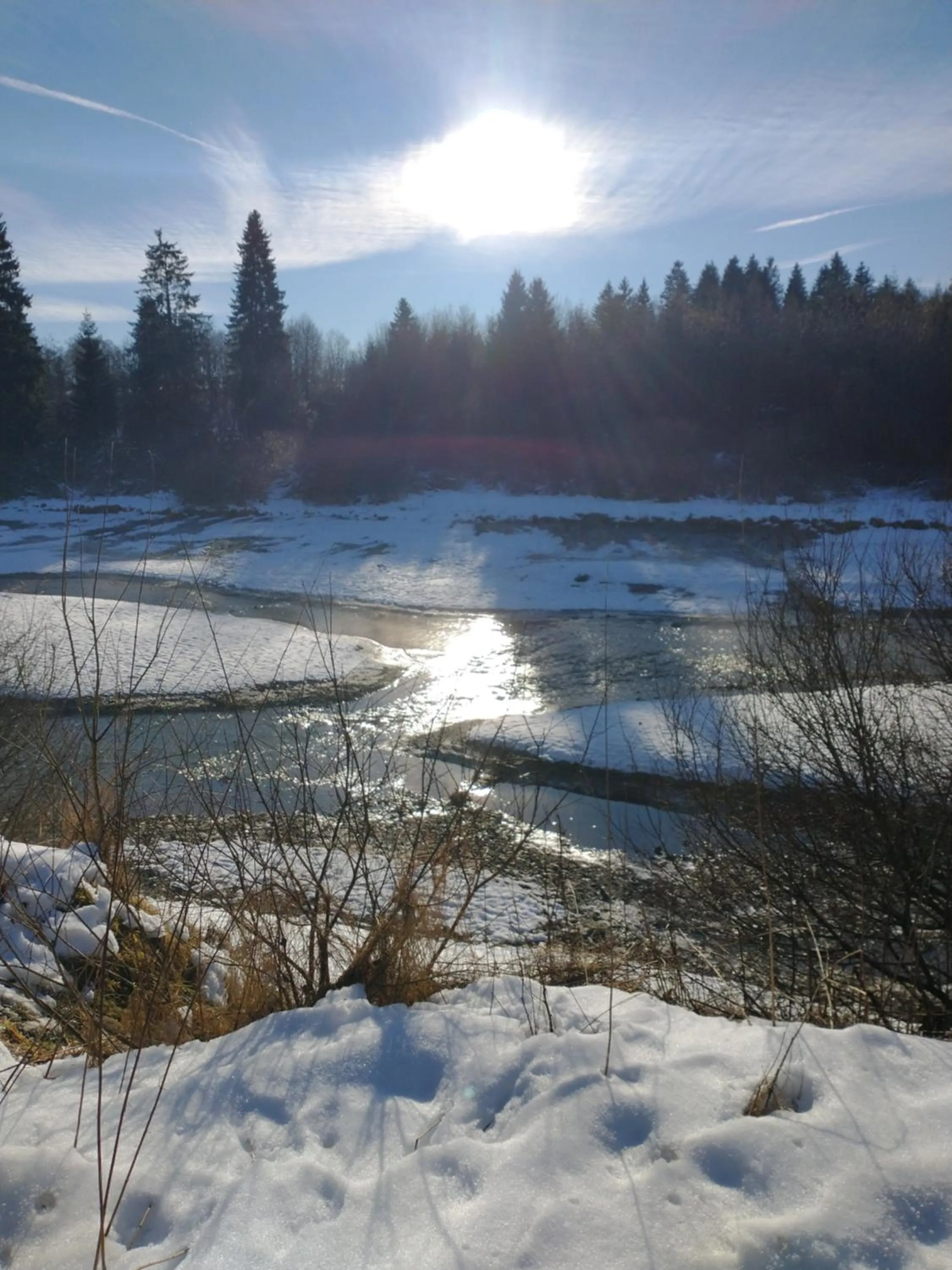 Natural landscape in Hôtel du Lac