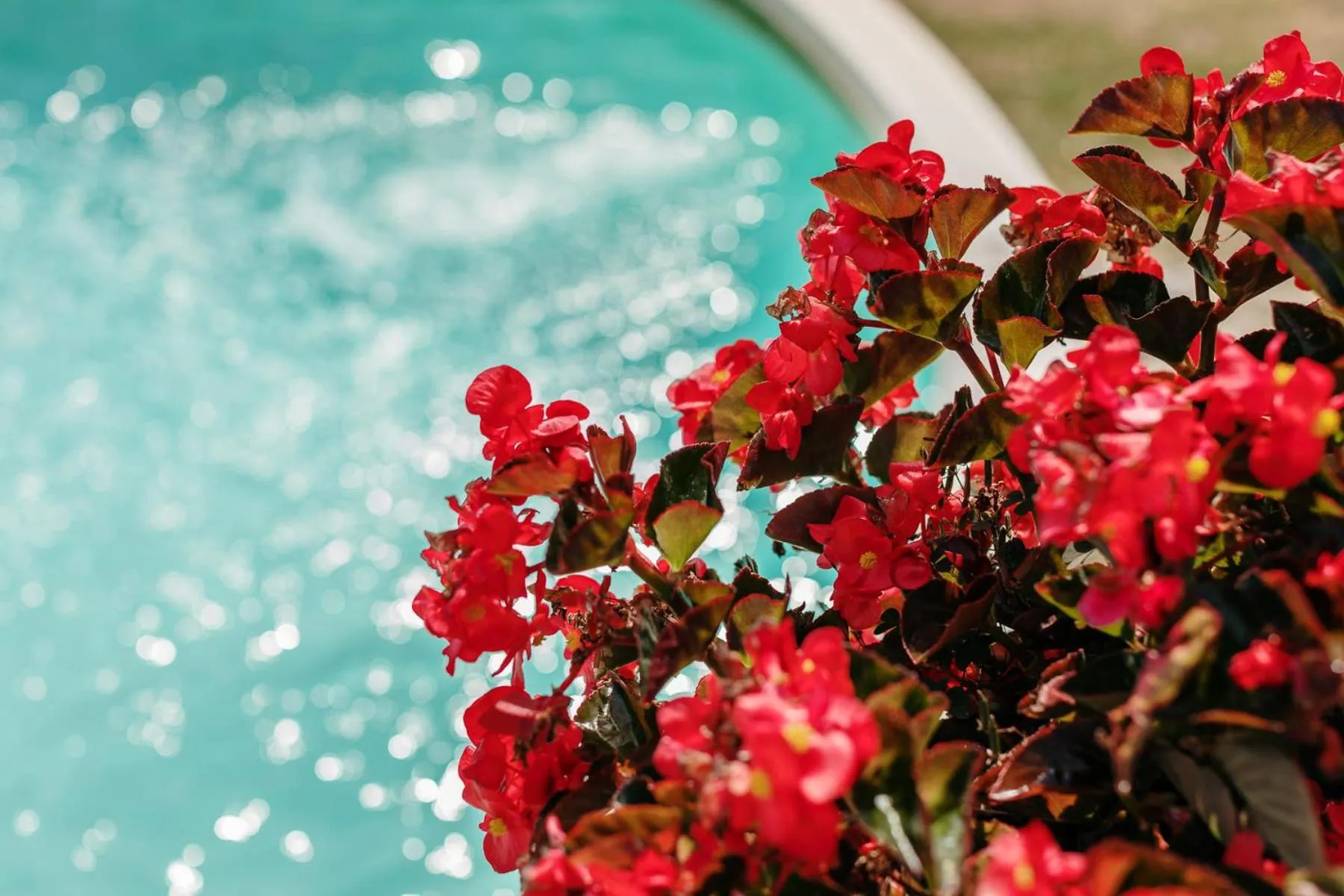 Swimming pool in Borgo Villa a Sesta
