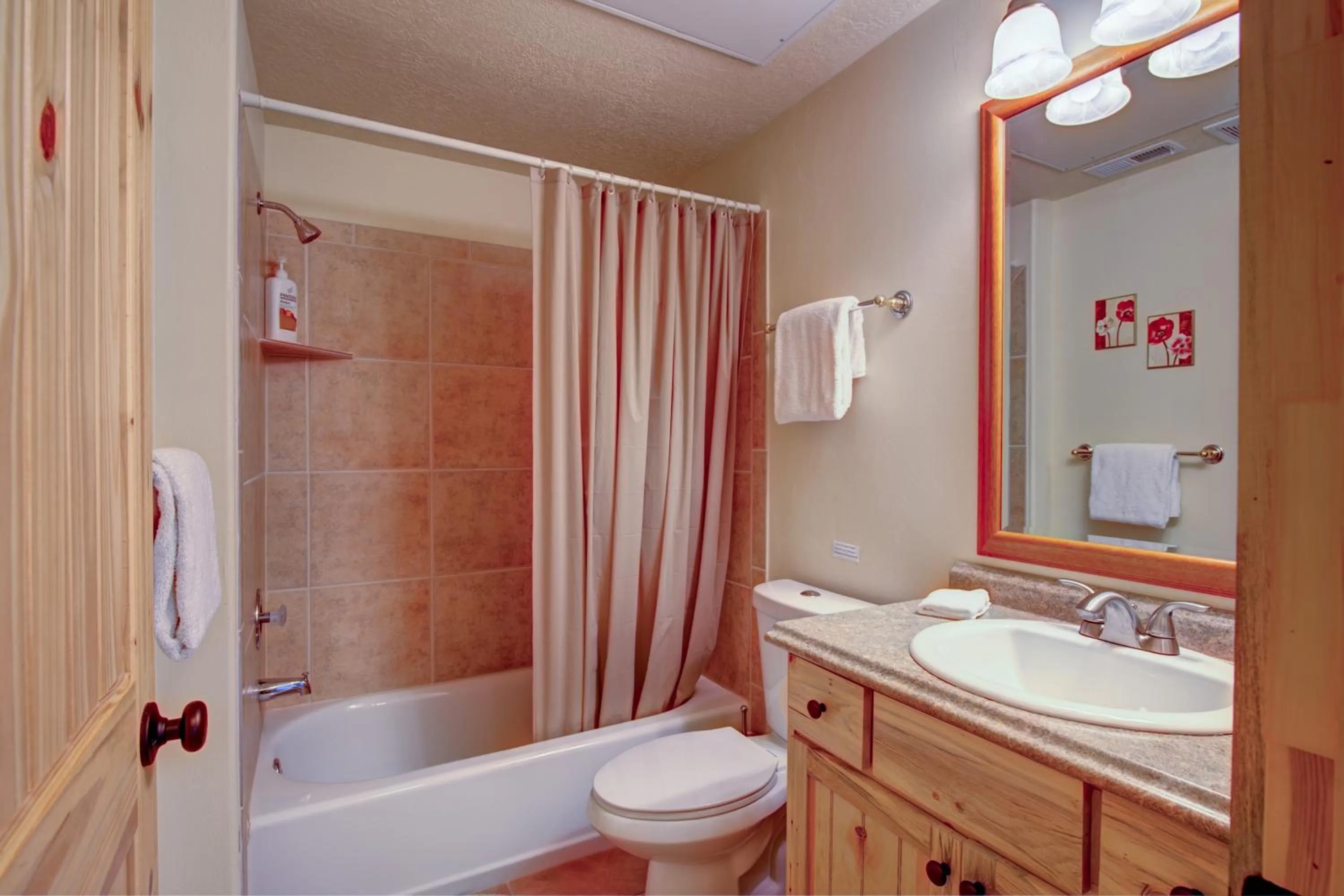 Bathroom in Ridgetop Hideaway