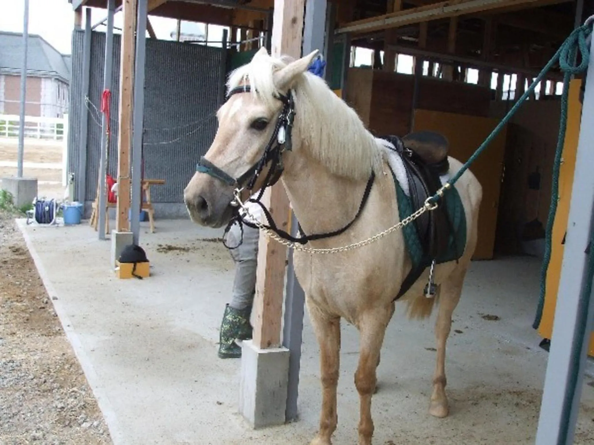 Kobe Hotel Fruit Flower